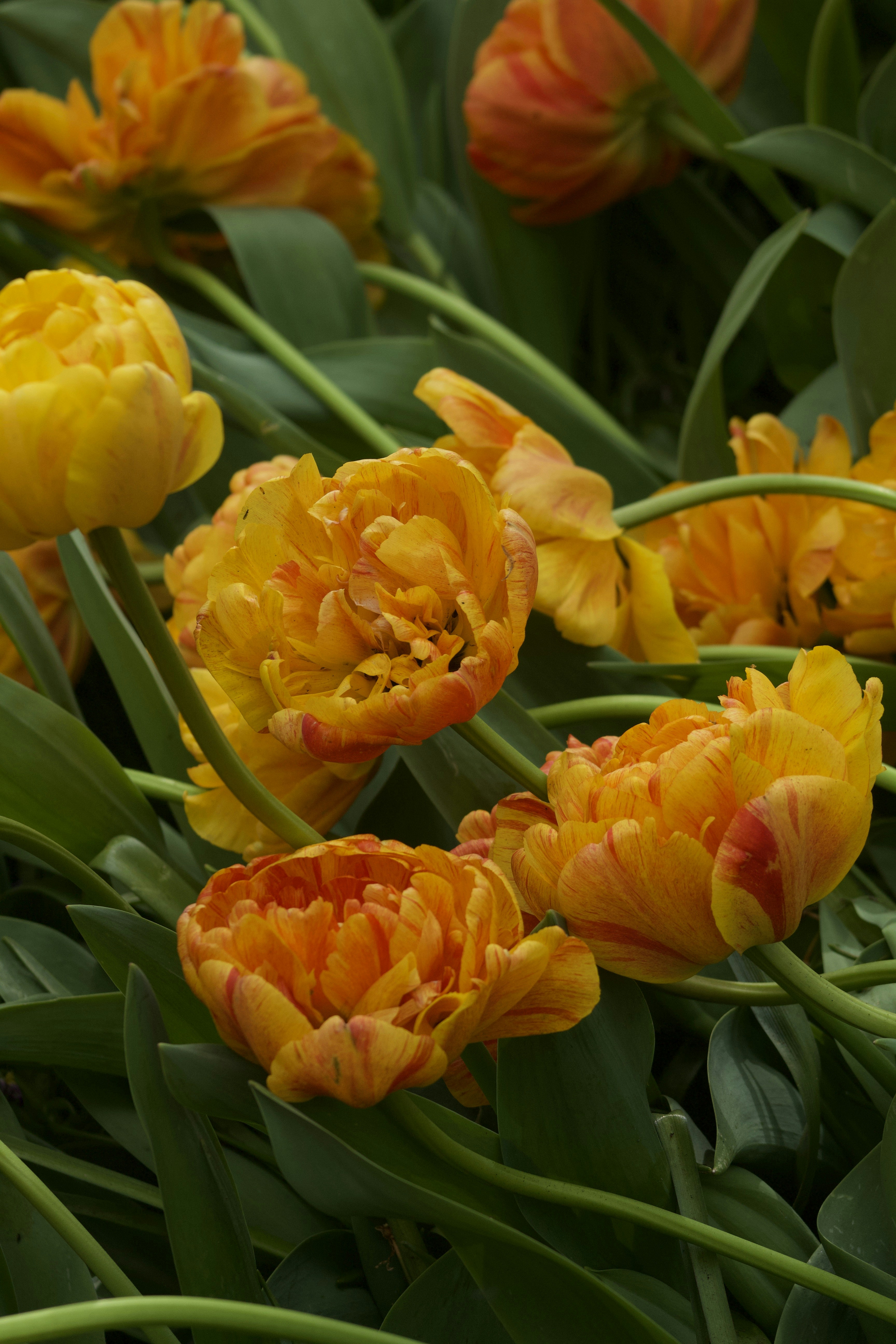 Photo by feliciafelicia