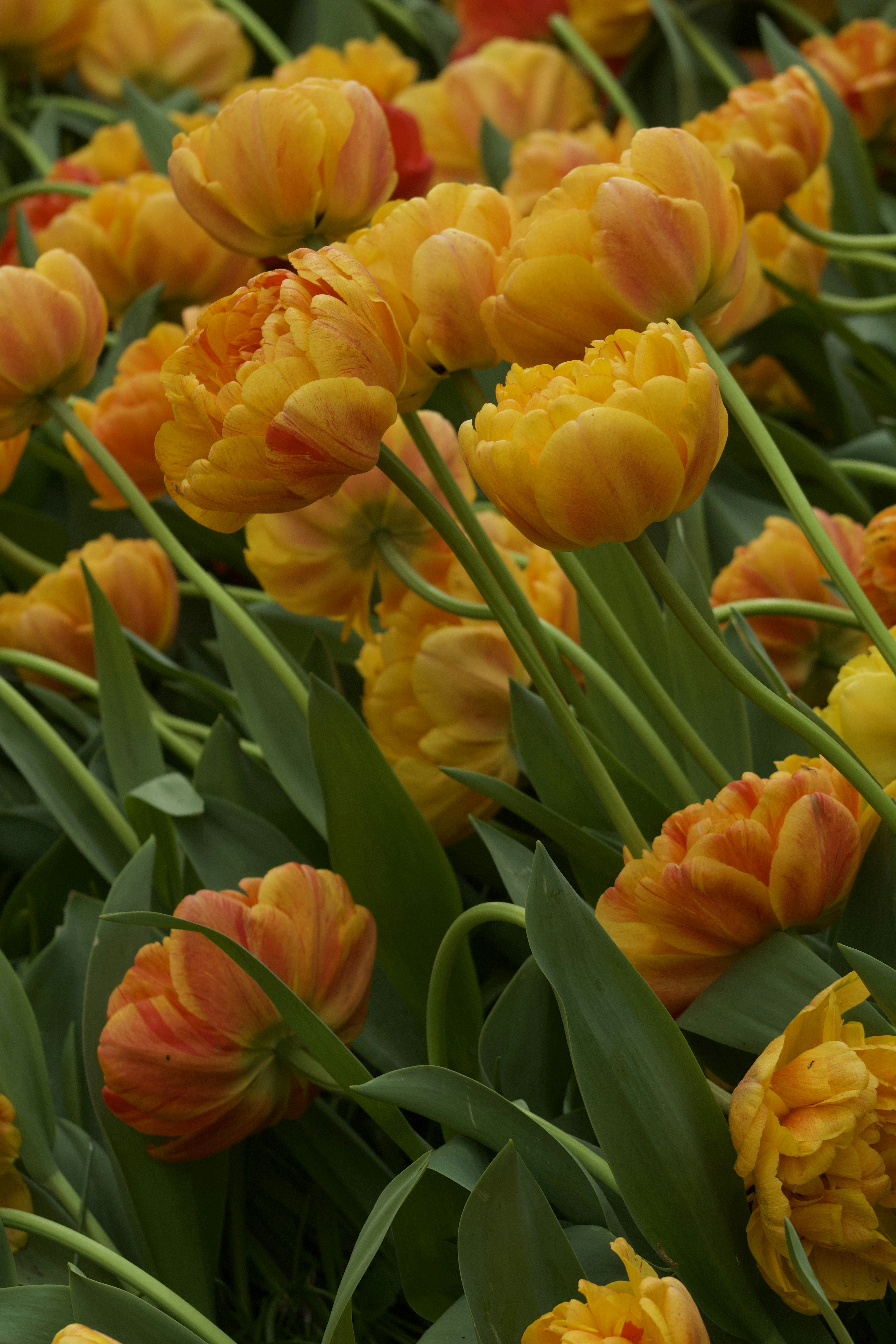 Photo by feliciafelicia