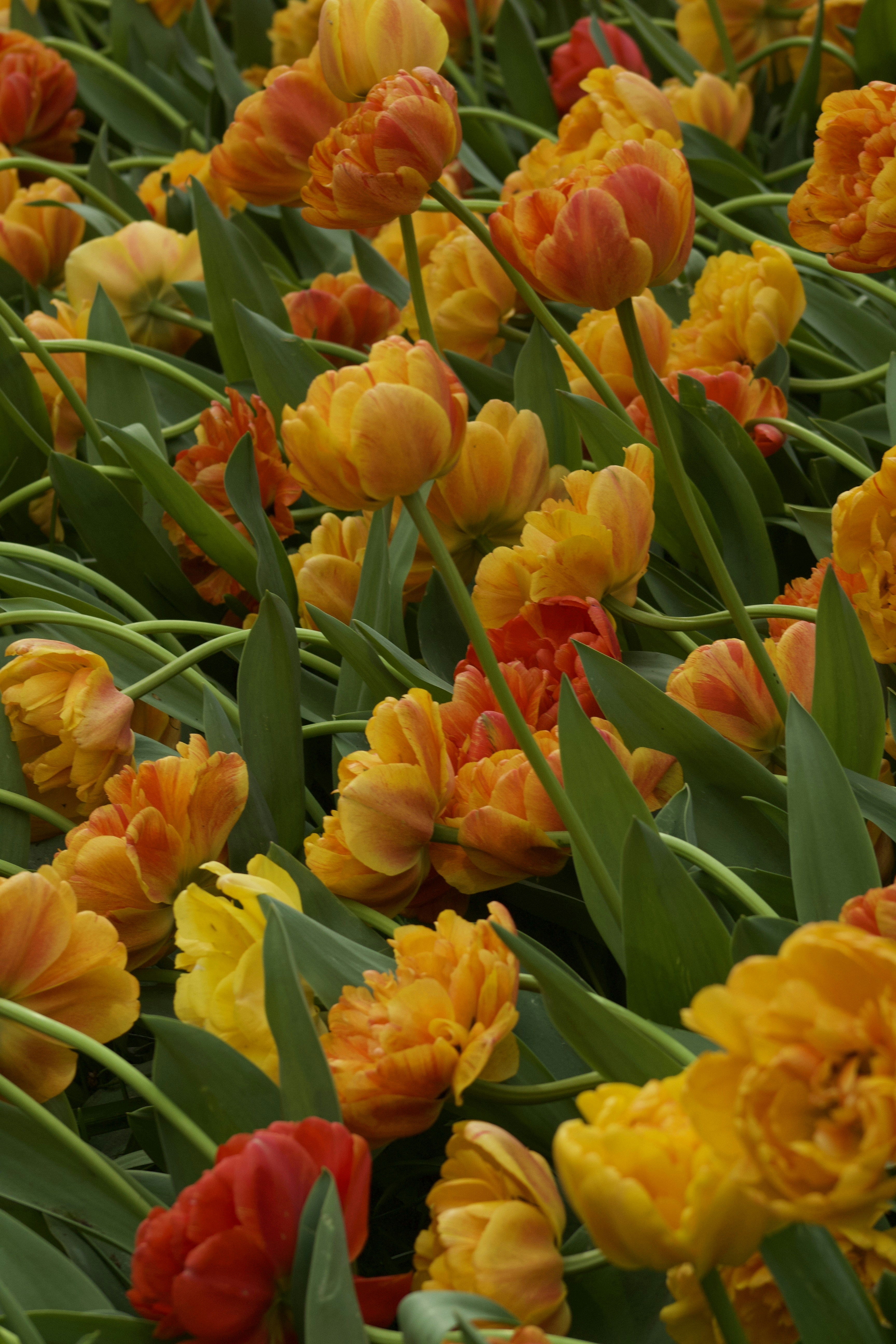 Photo by feliciafelicia