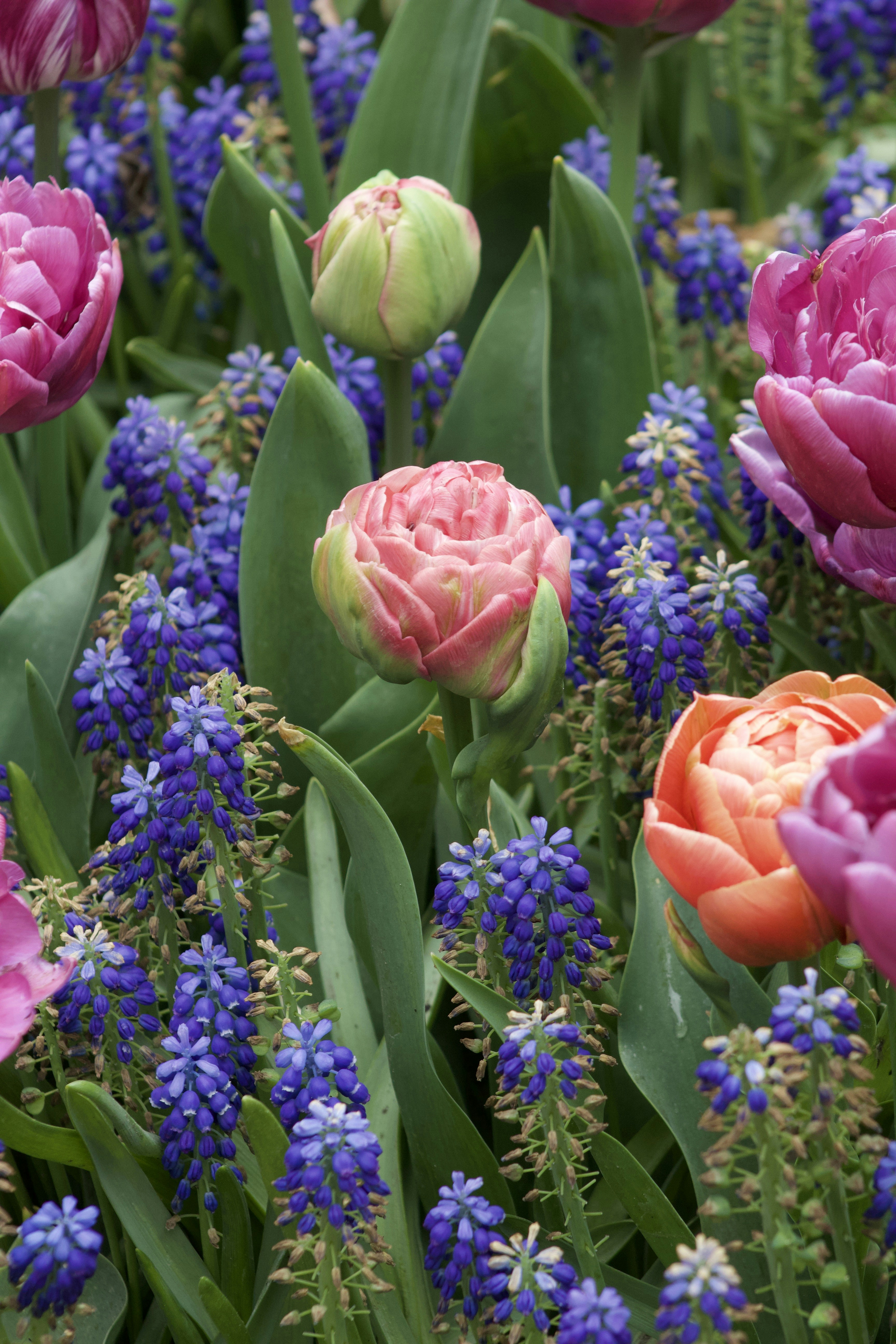 Photo by feliciafelicia