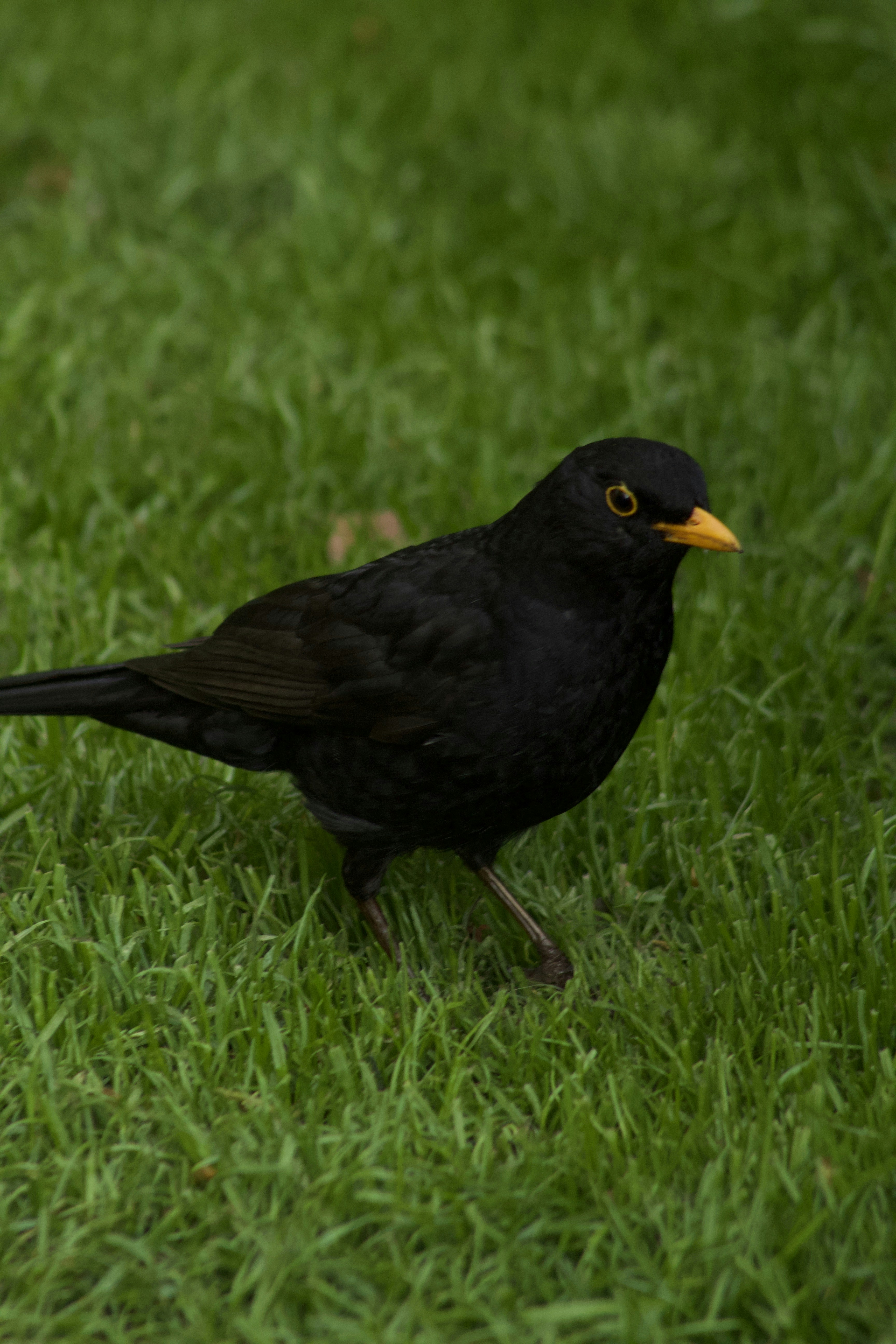 Photo by feliciafelicia