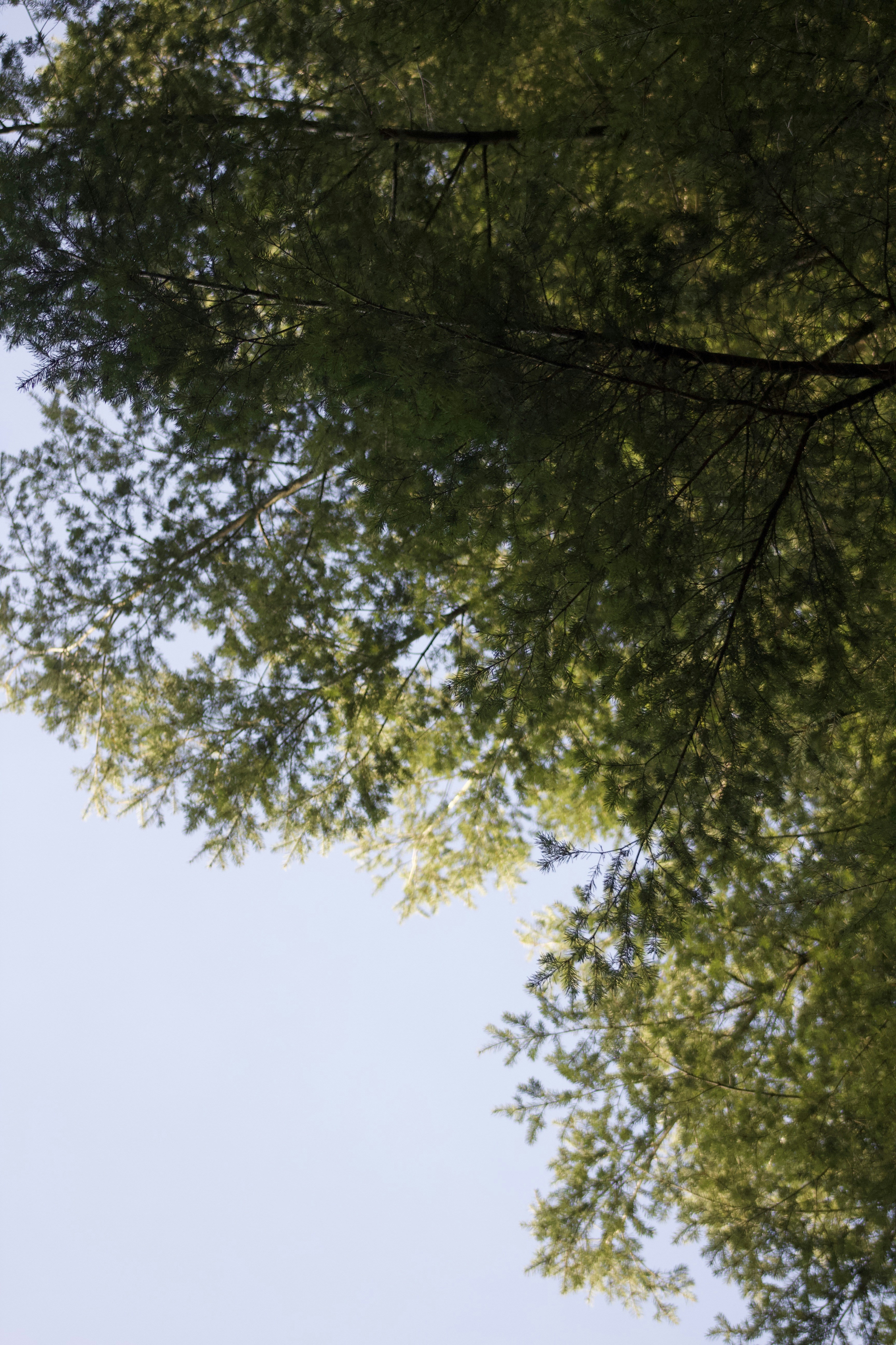 Photo by feliciafelicia