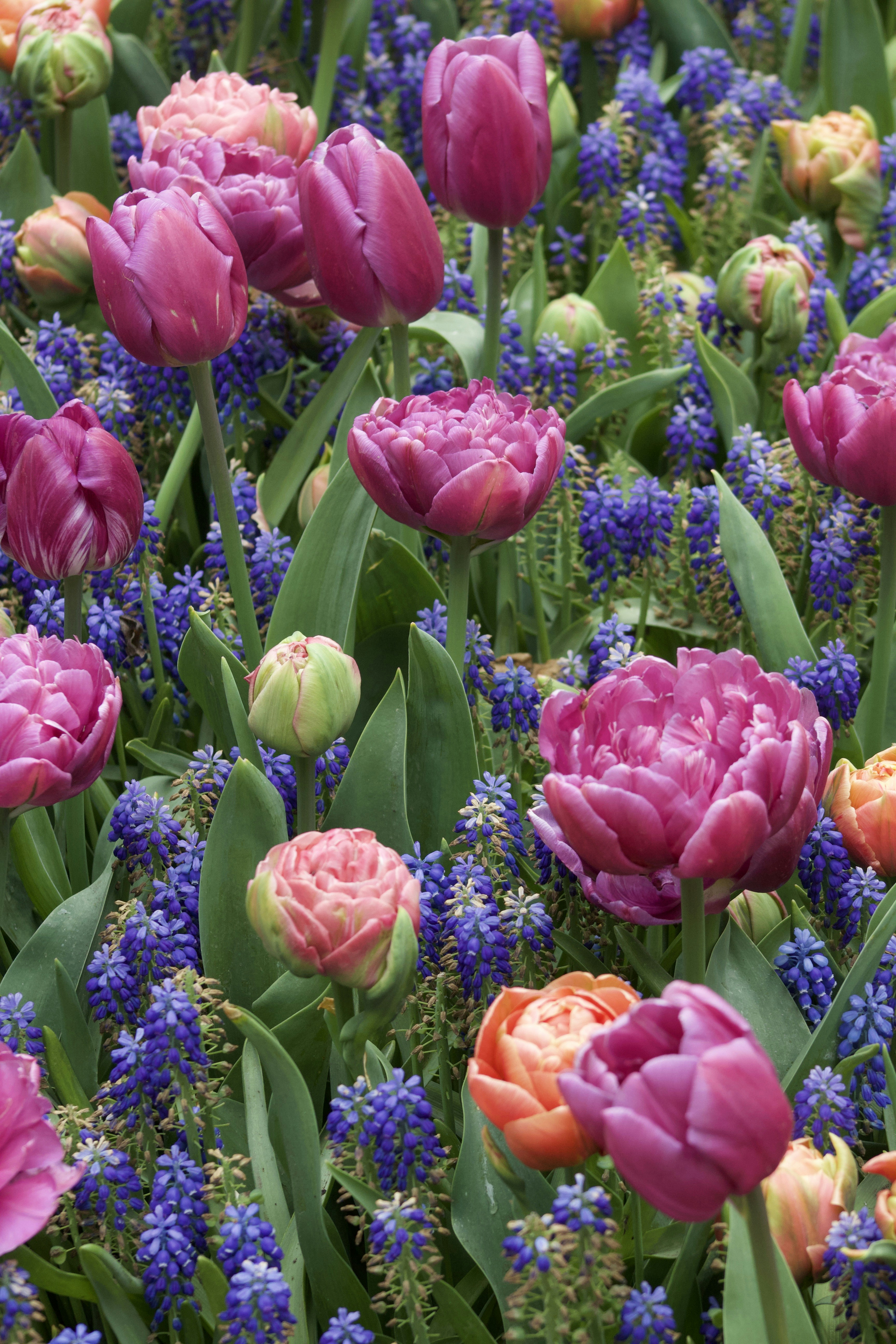 Photo by feliciafelicia