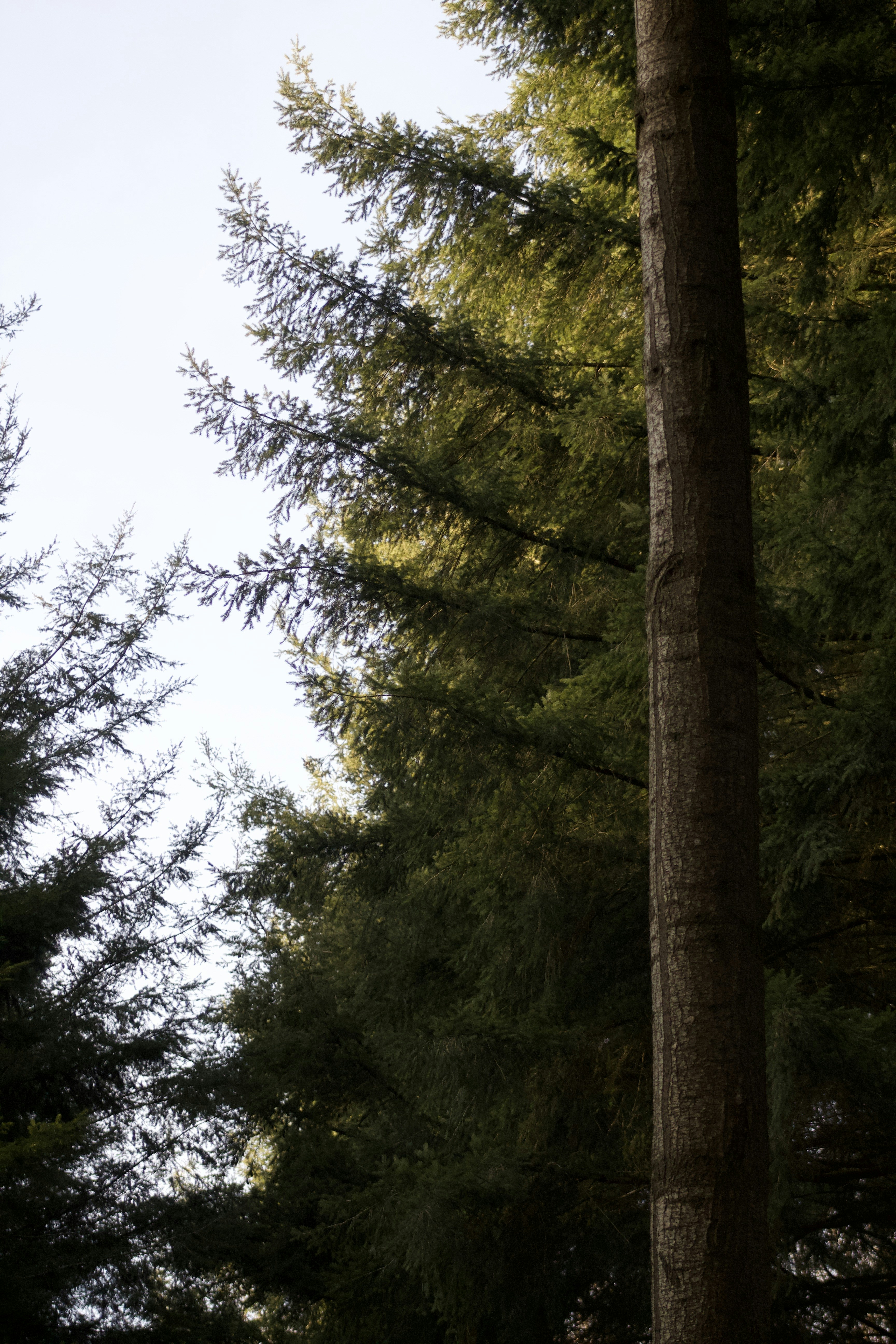 Photo by feliciafelicia