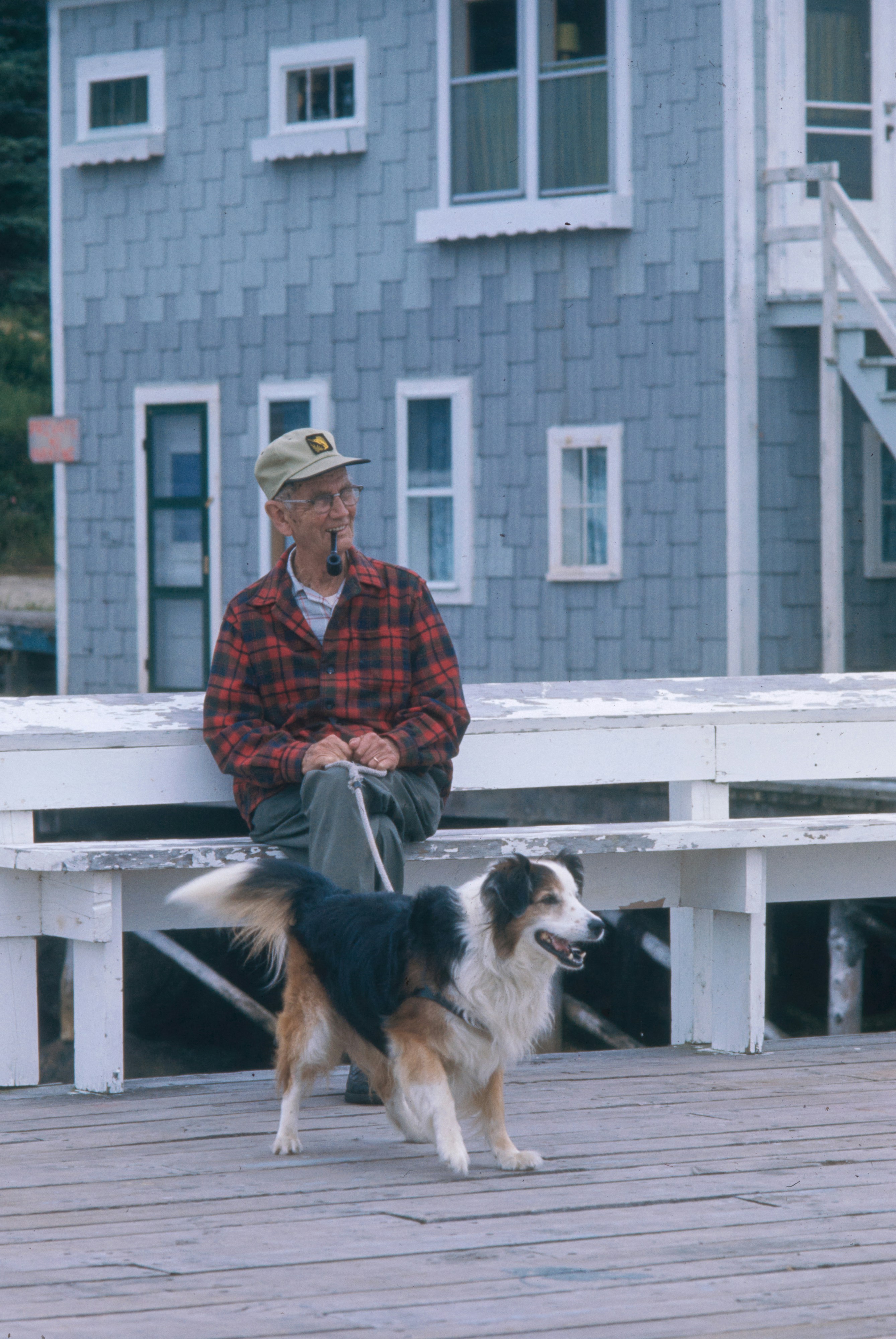 マサチューセッツ州高齢者の写真 Unsplashで見つけるグレーの無料写真