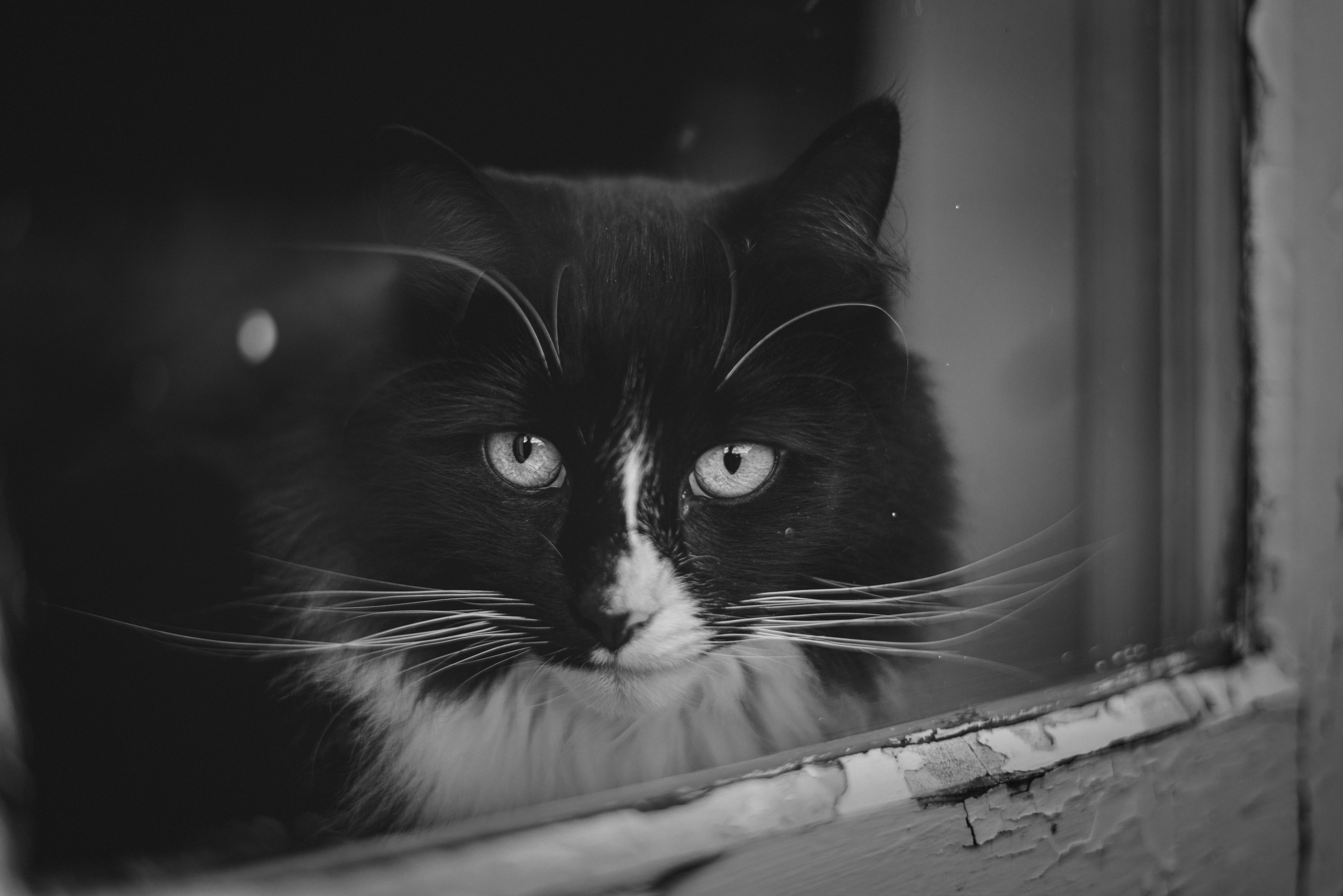 Photo by ajeetpanesarphotography