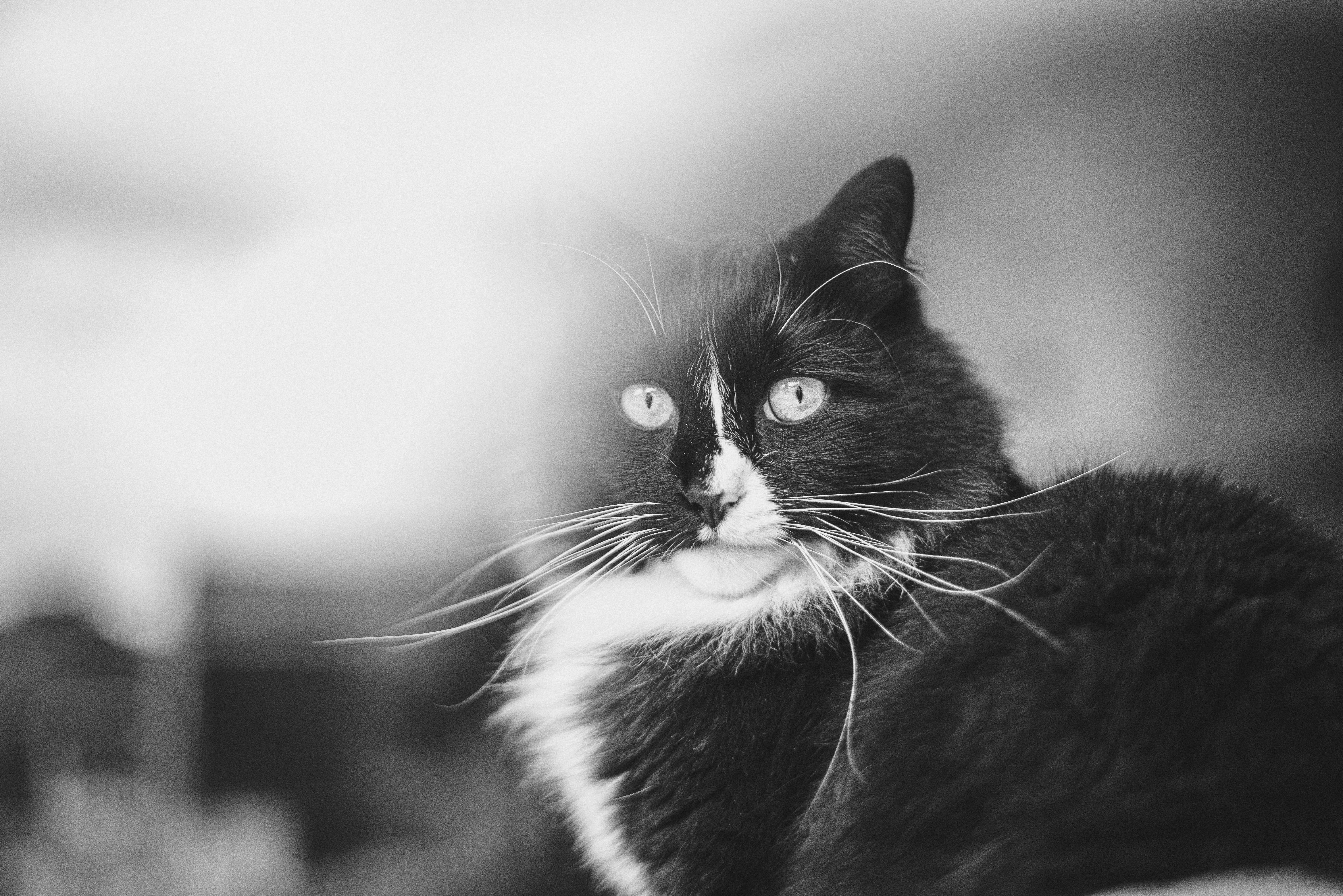 Photo by ajeetpanesarphotography