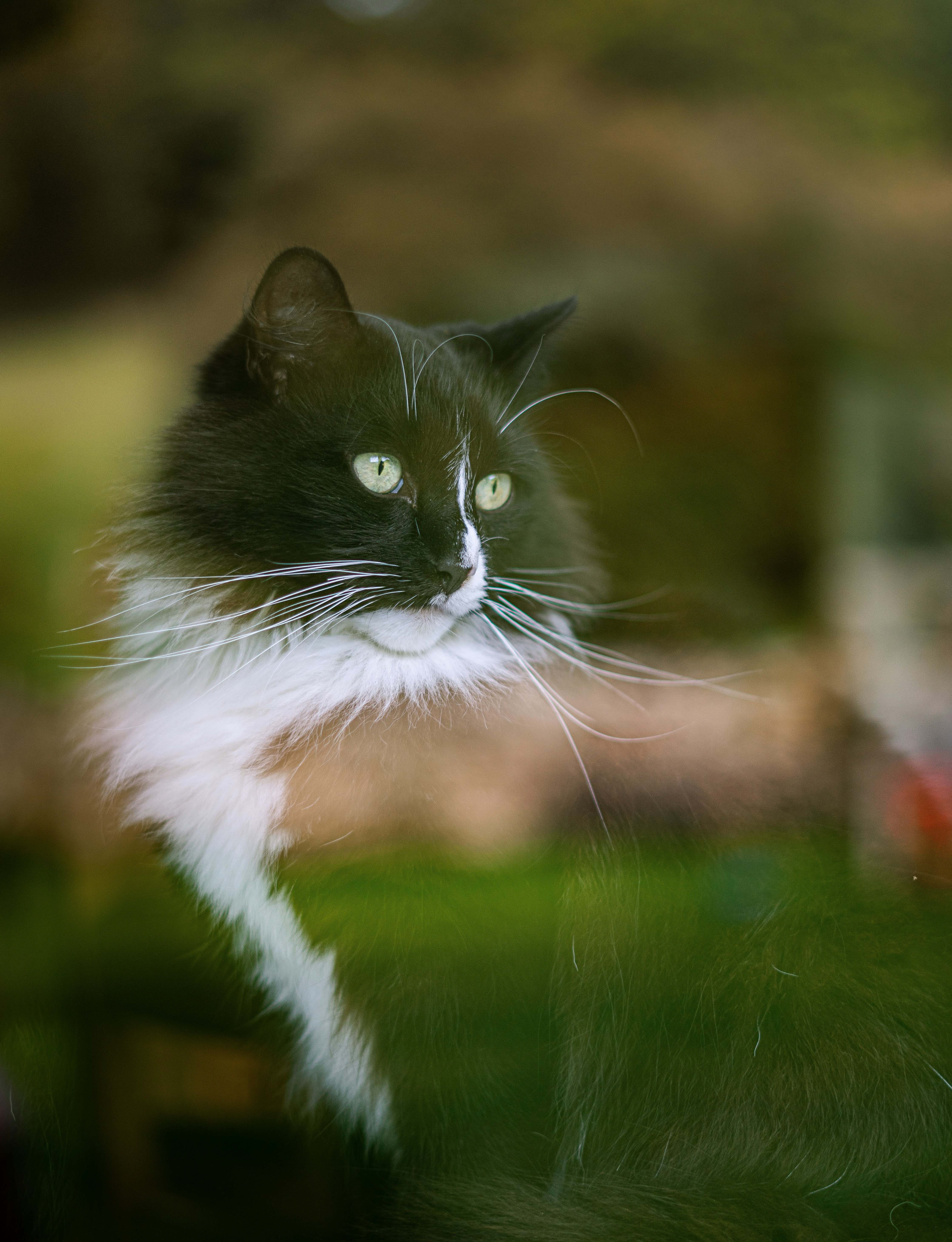 Photo by ajeetpanesarphotography