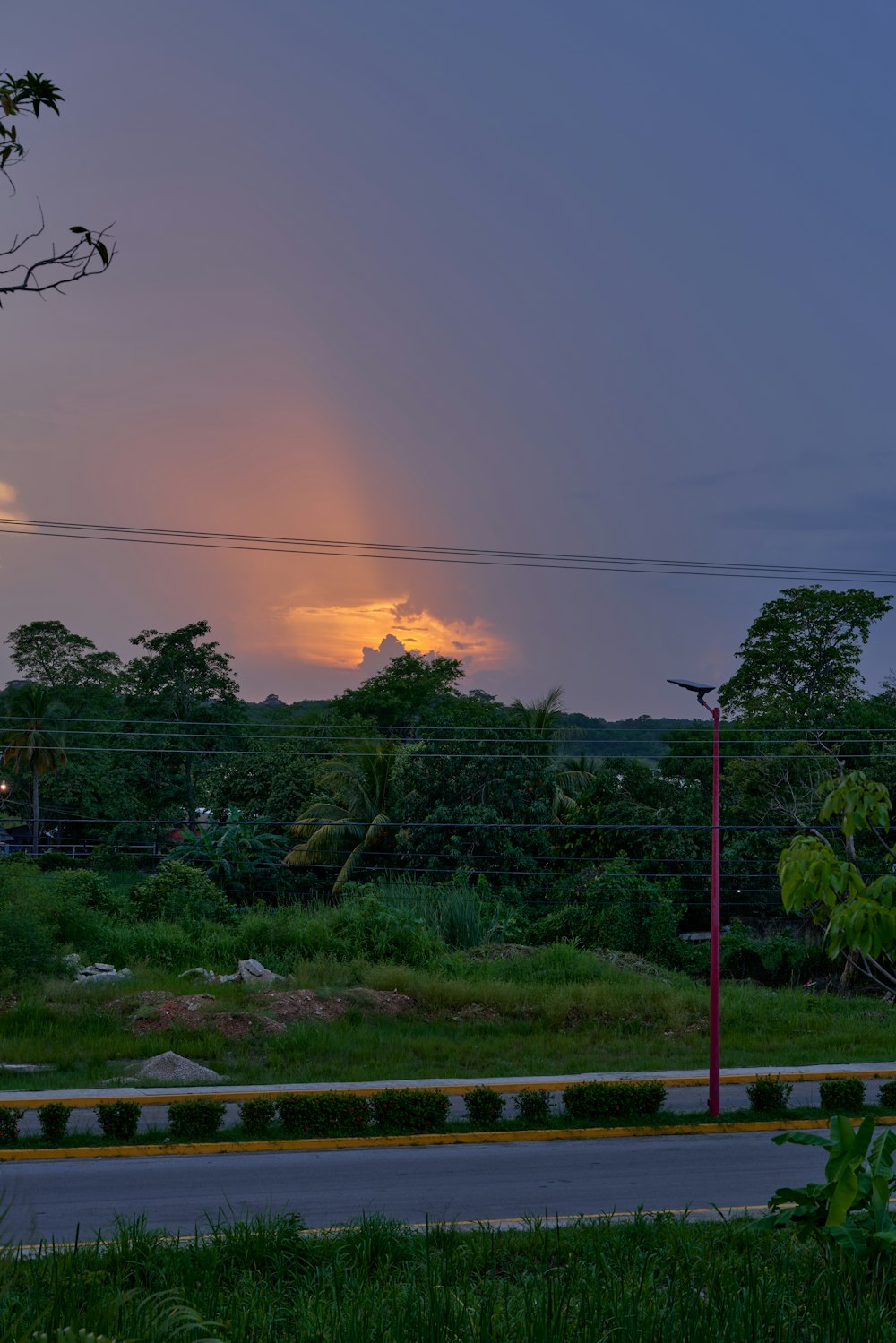 um pôr do sol sobre uma floresta