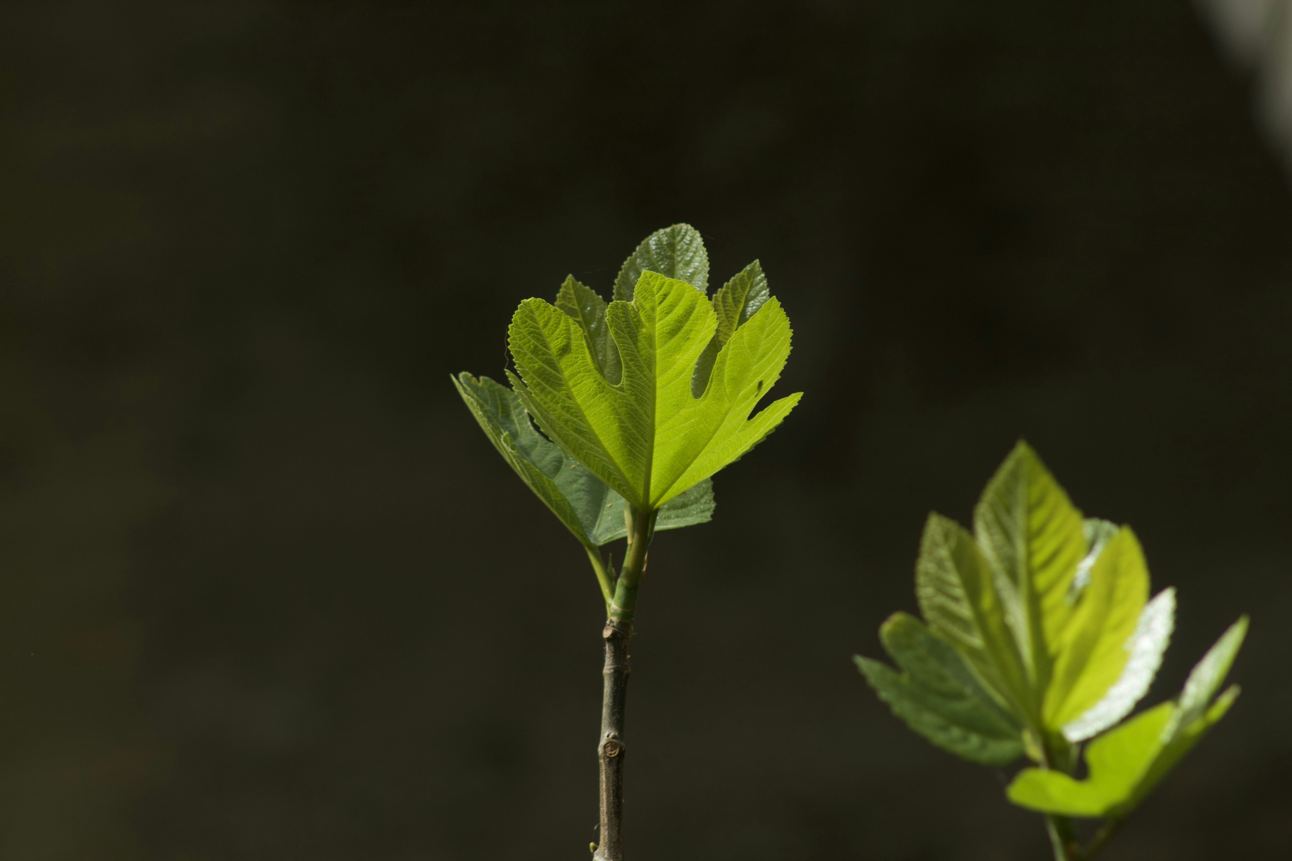 Photo by feliciafelicia