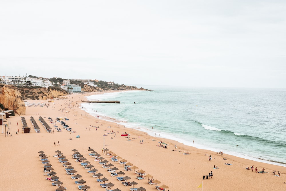 a beach with people on it