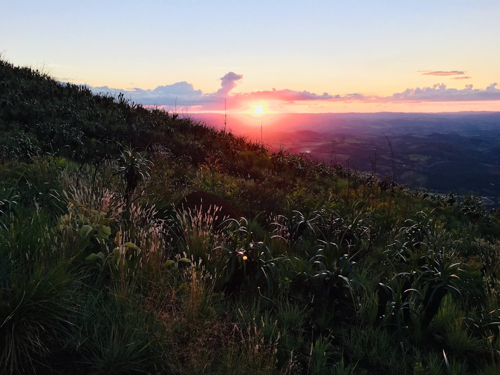 a sunset over a grassy hill