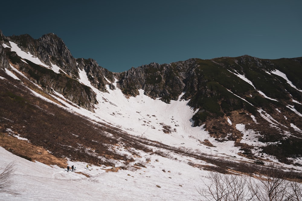 a group of people skiing down a mountain