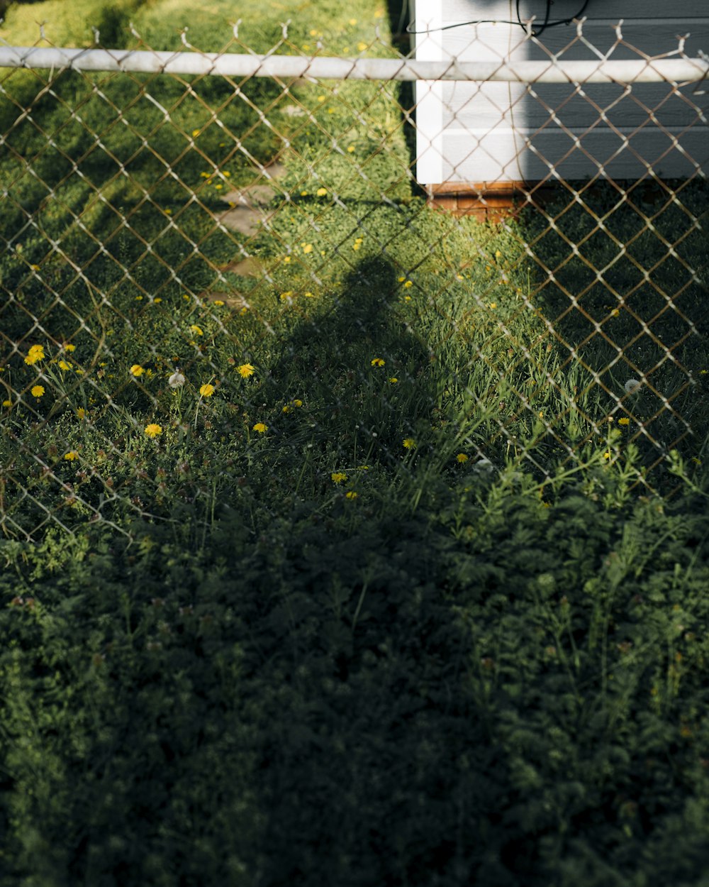 a fence with a garden and flowers