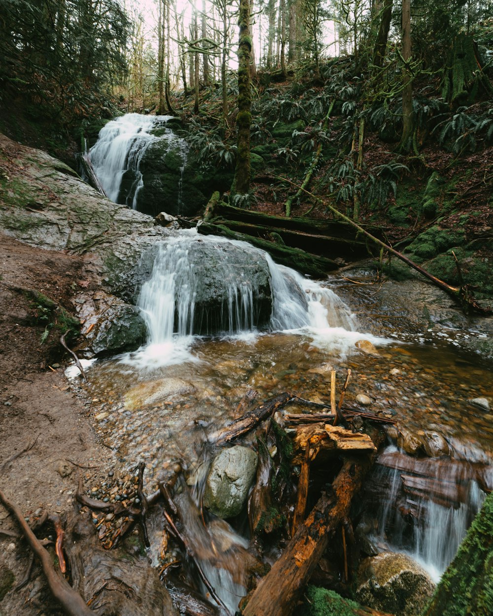 a small waterfall in a forest