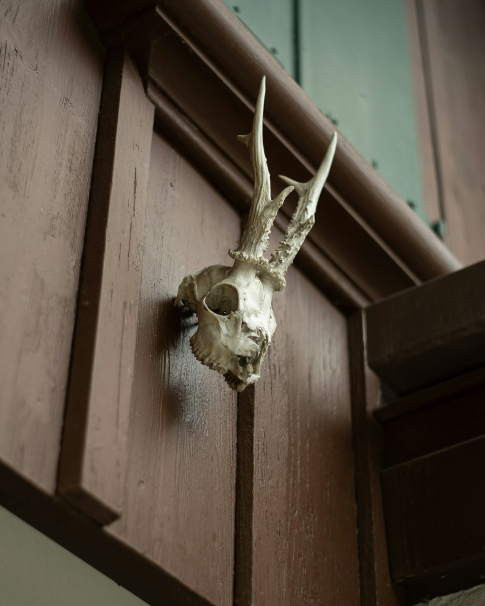 a skull on a wall