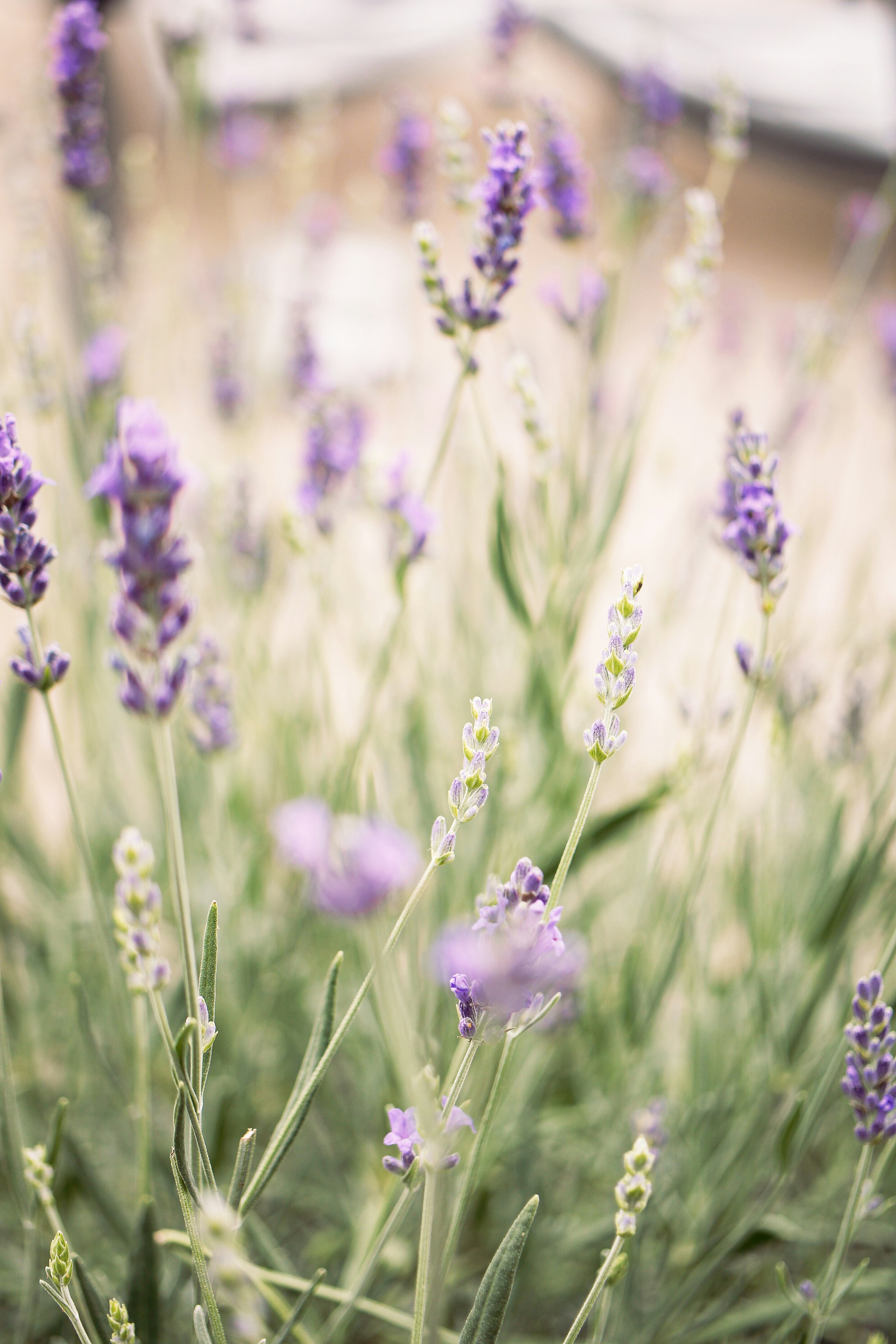 Photo by earthfulmoments