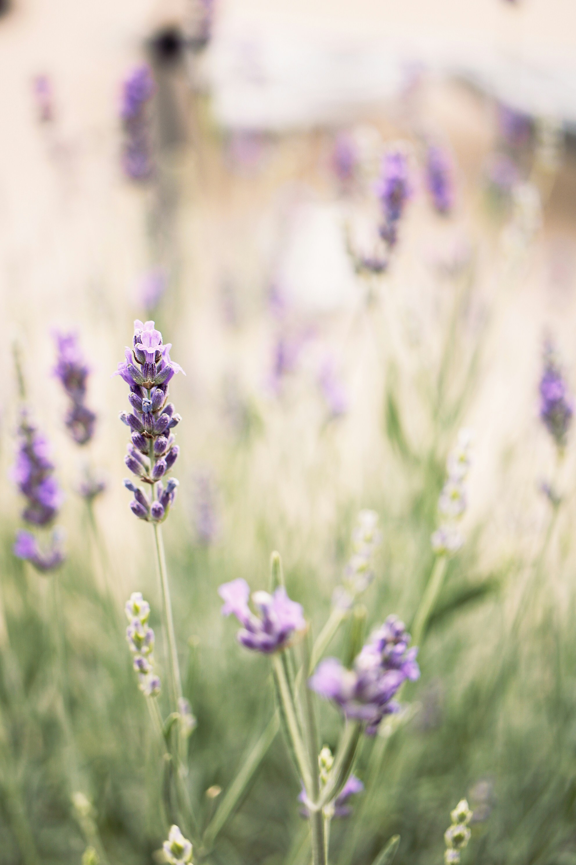 Photo by earthfulmoments