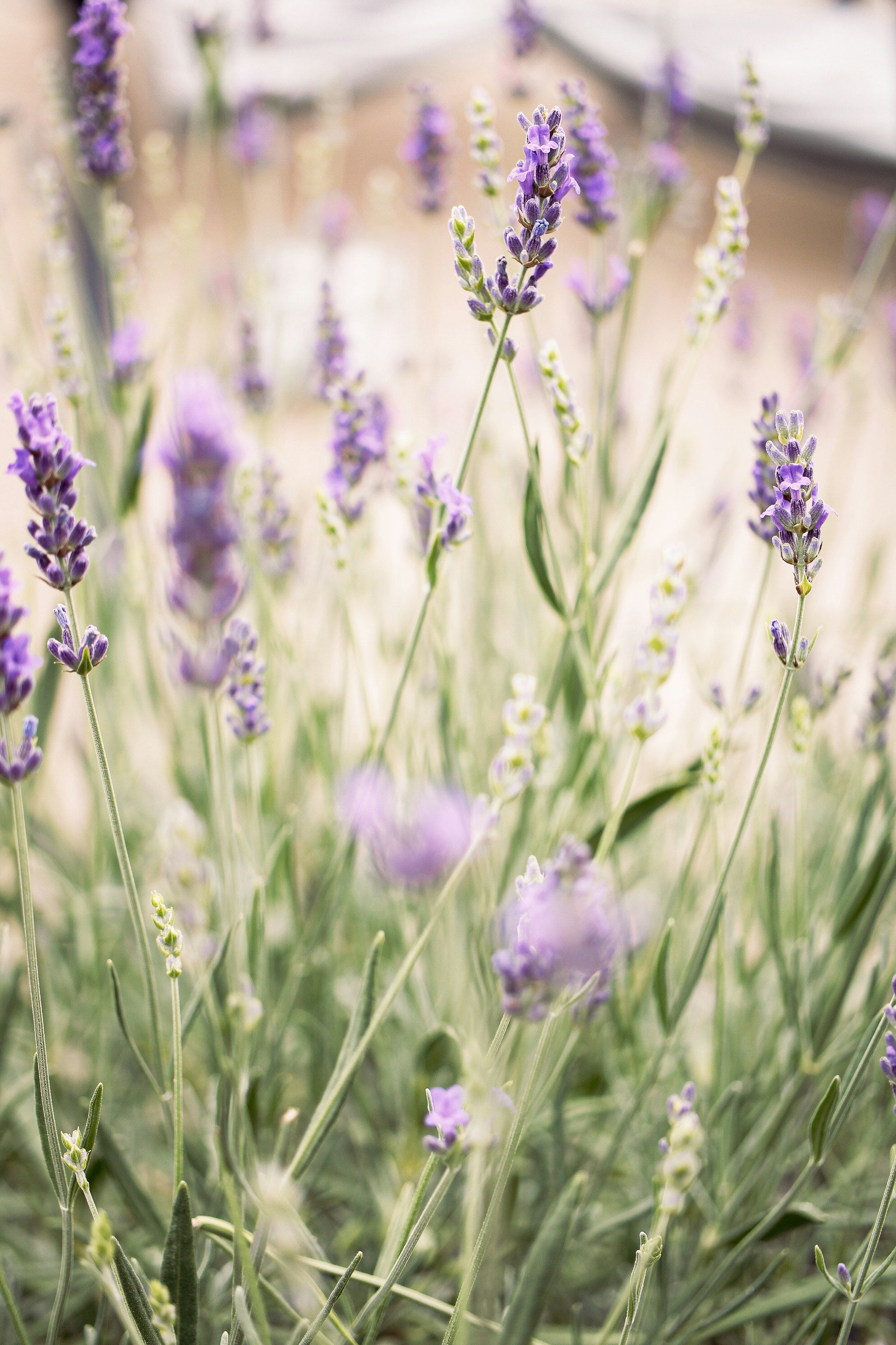 Photo by earthfulmoments