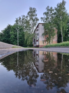 A multi-story residential building is surrounded by tall green trees. The building and trees are reflected clearly in a large puddle on the pavement, creating a mirror effect. The sky above is clear, providing a serene backdrop.