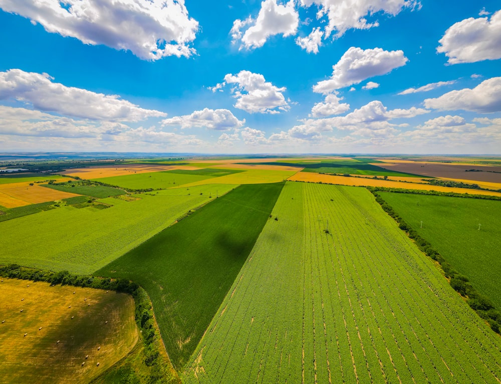 a large green field