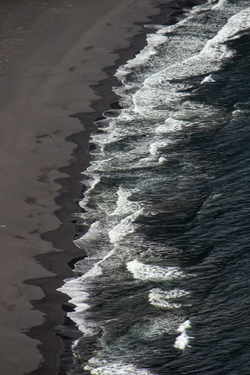 a close up of a beach