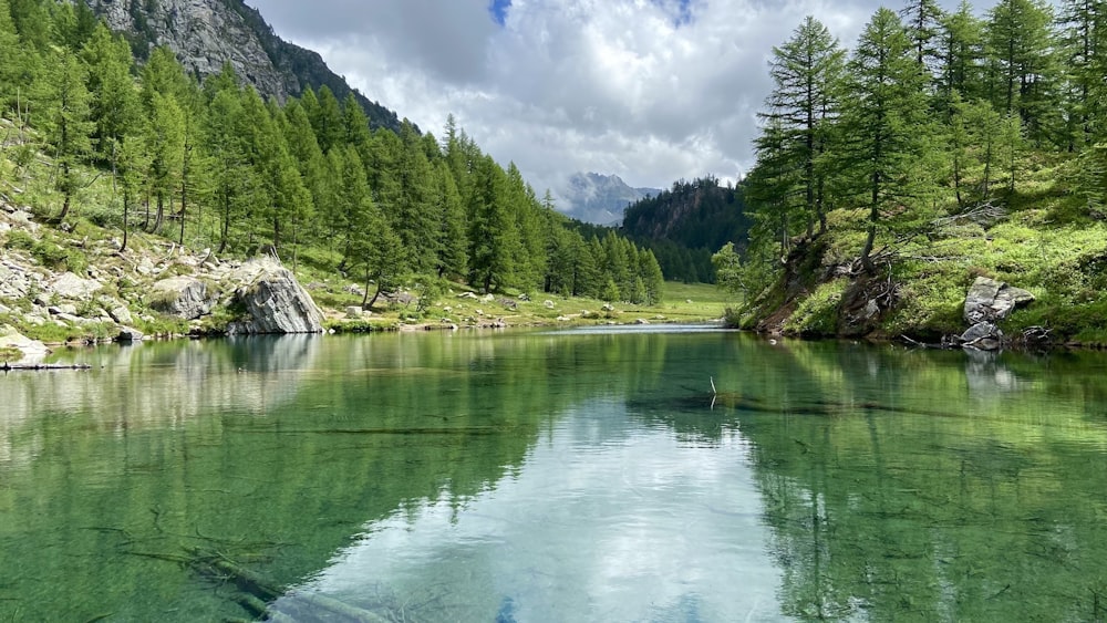 um lago cercado por árvores e montanhas