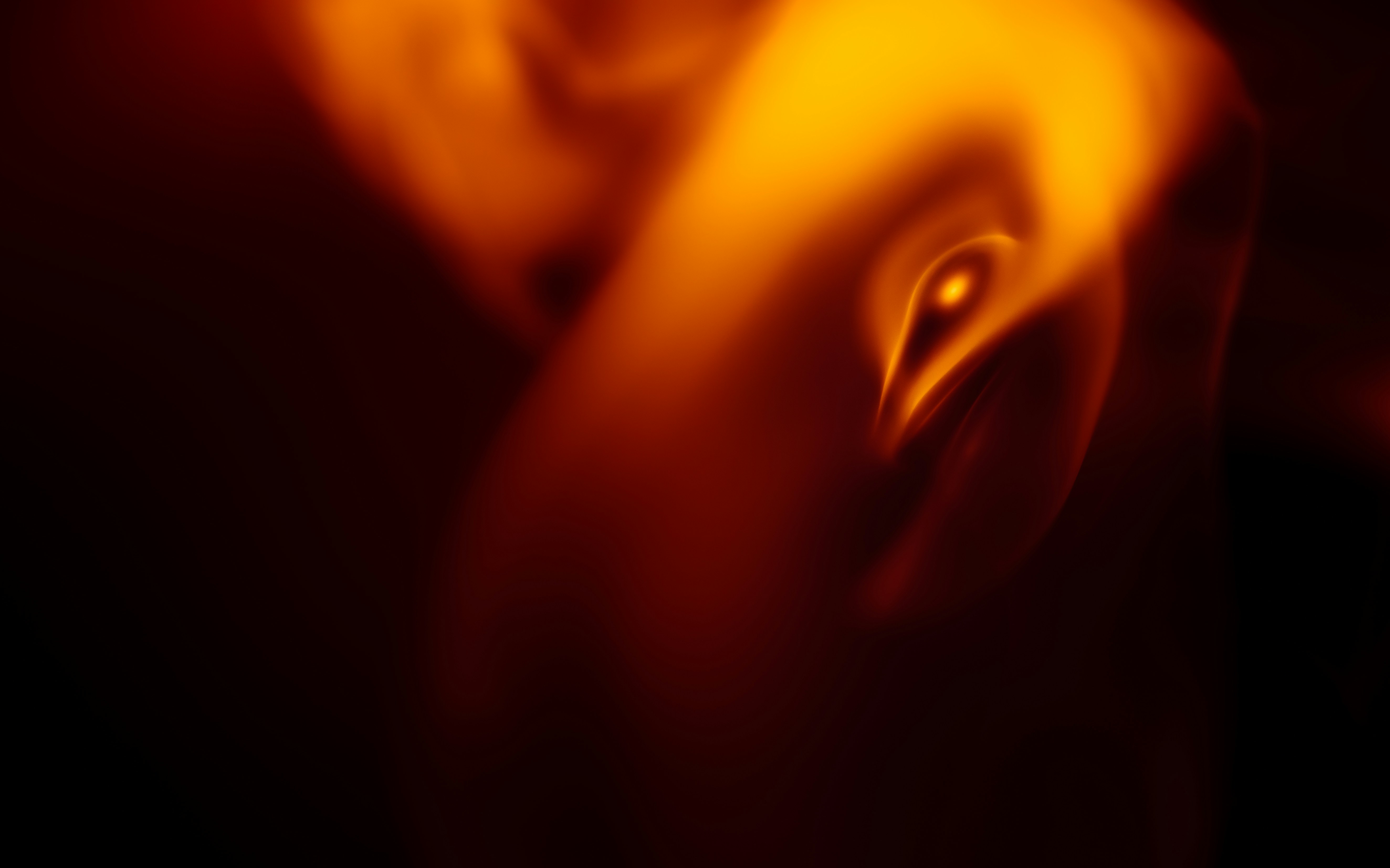 Photo by marekpiwnicki