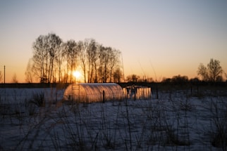 A serene landscape features a clear greenhouse in the foreground, set against the backdrop of a sunset. The sky transitions from orange to light blue, casting warm light and long shadows. Bare trees line the horizon, and patches of snow and grass cover the ground.