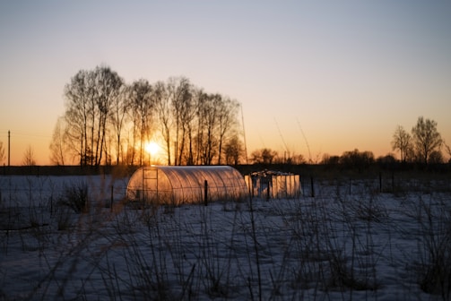 A serene landscape features a clear greenhouse in the foreground, set against the backdrop of a sunset. The sky transitions from orange to light blue, casting warm light and long shadows. Bare trees line the horizon, and patches of snow and grass cover the ground.