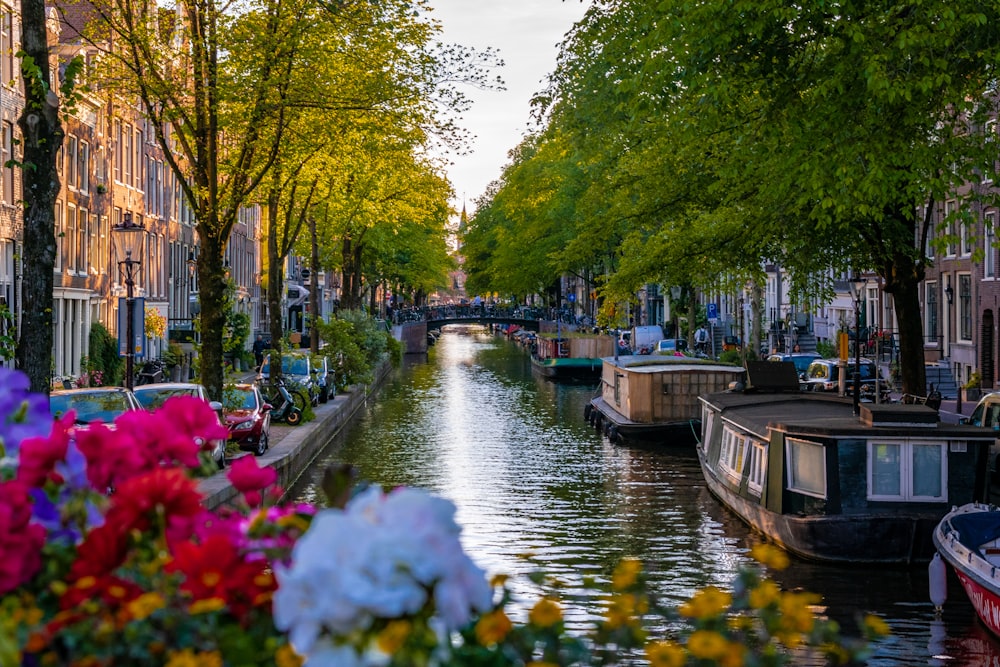 a canal with boats and flowers