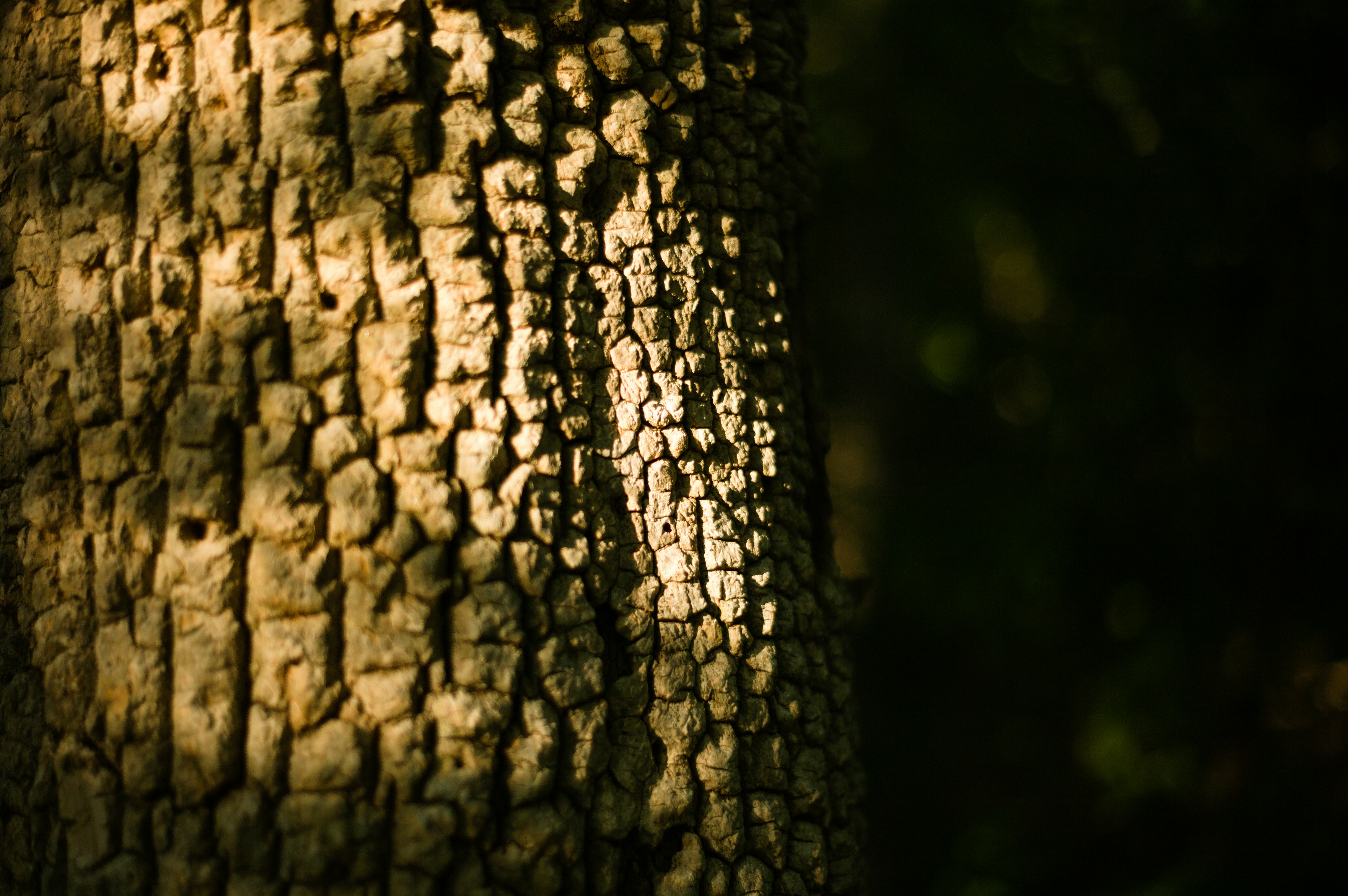 Photo by jothamsutharson