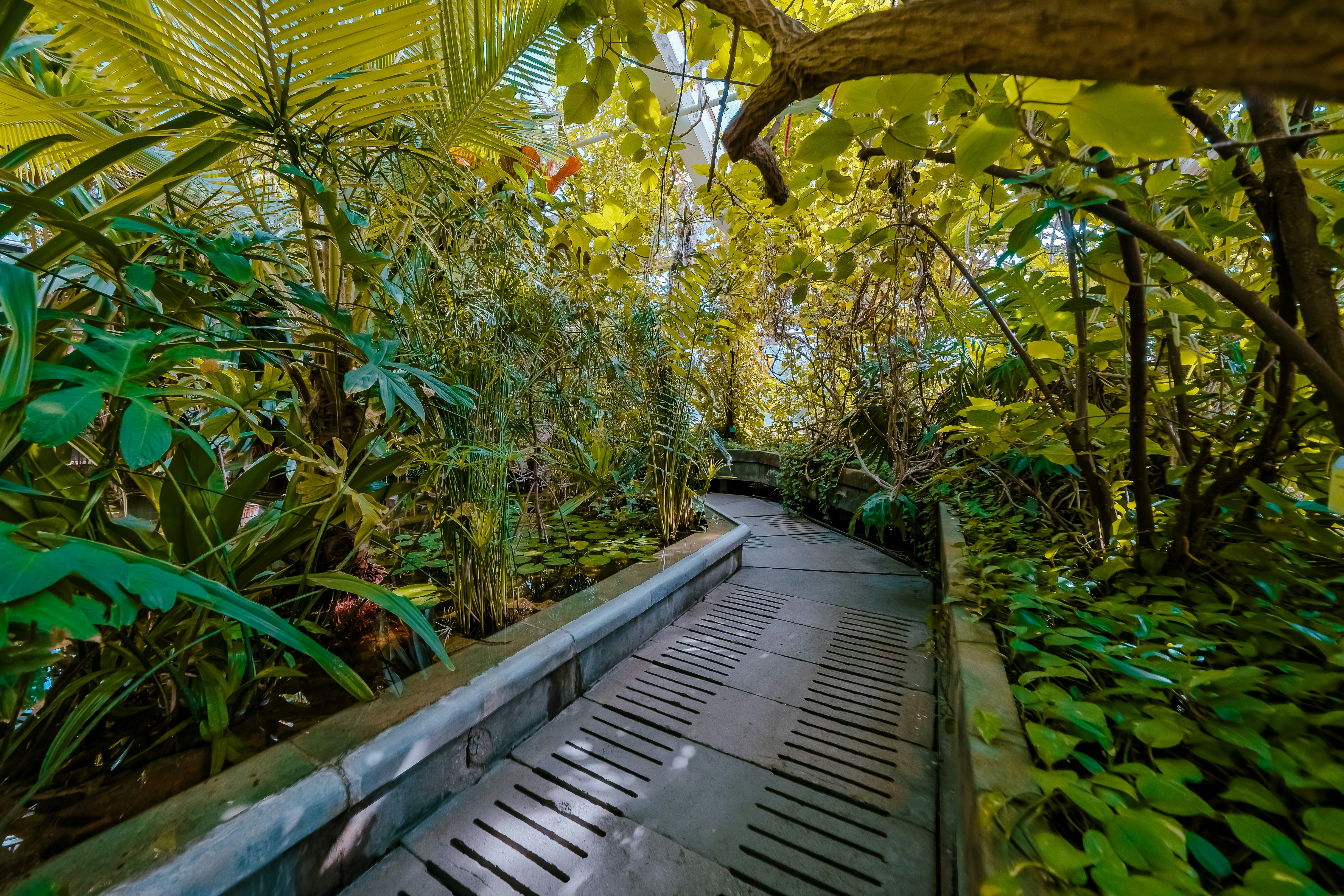 Poznań, Poland 🇵🇱