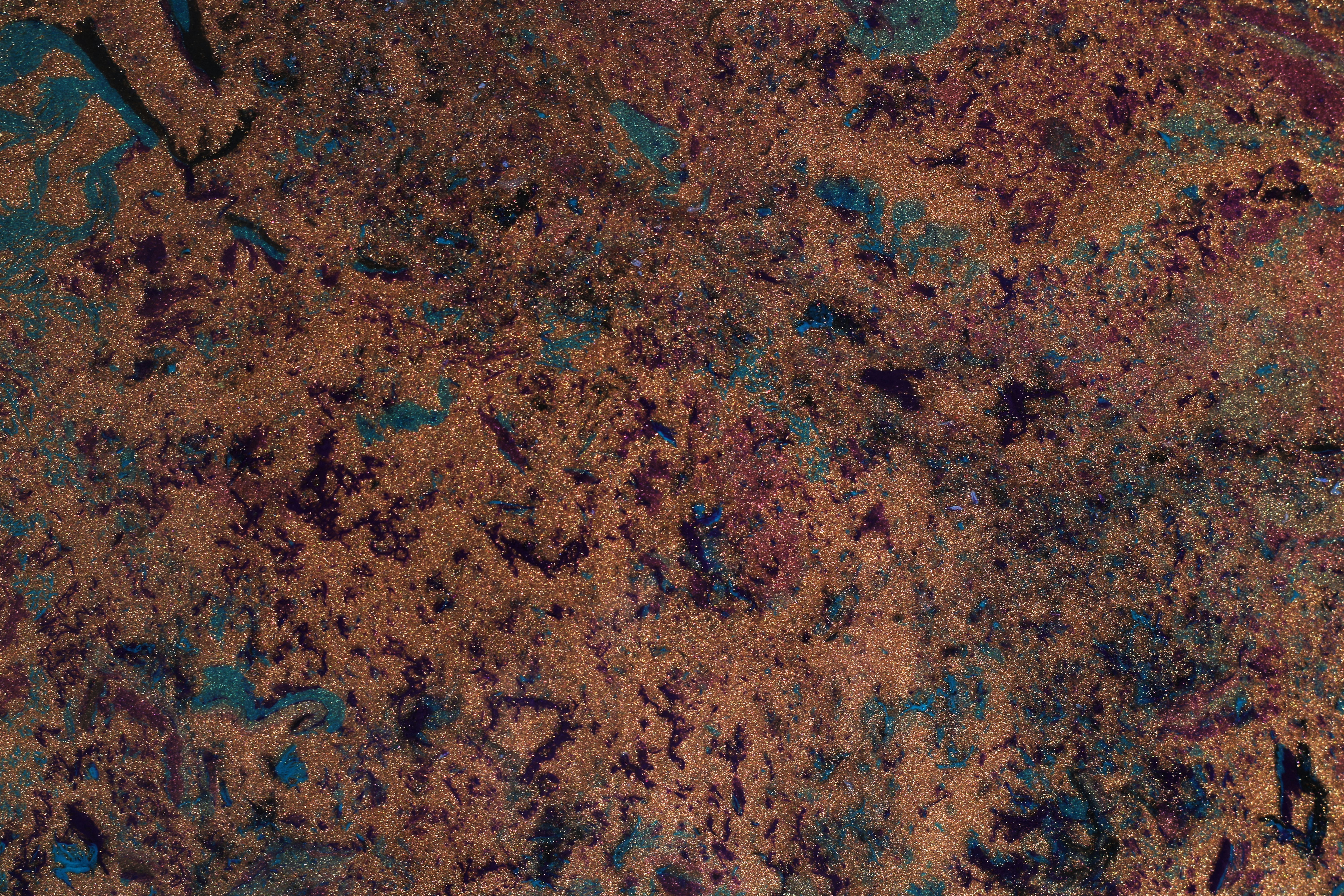 Photo by susan_wilkinson