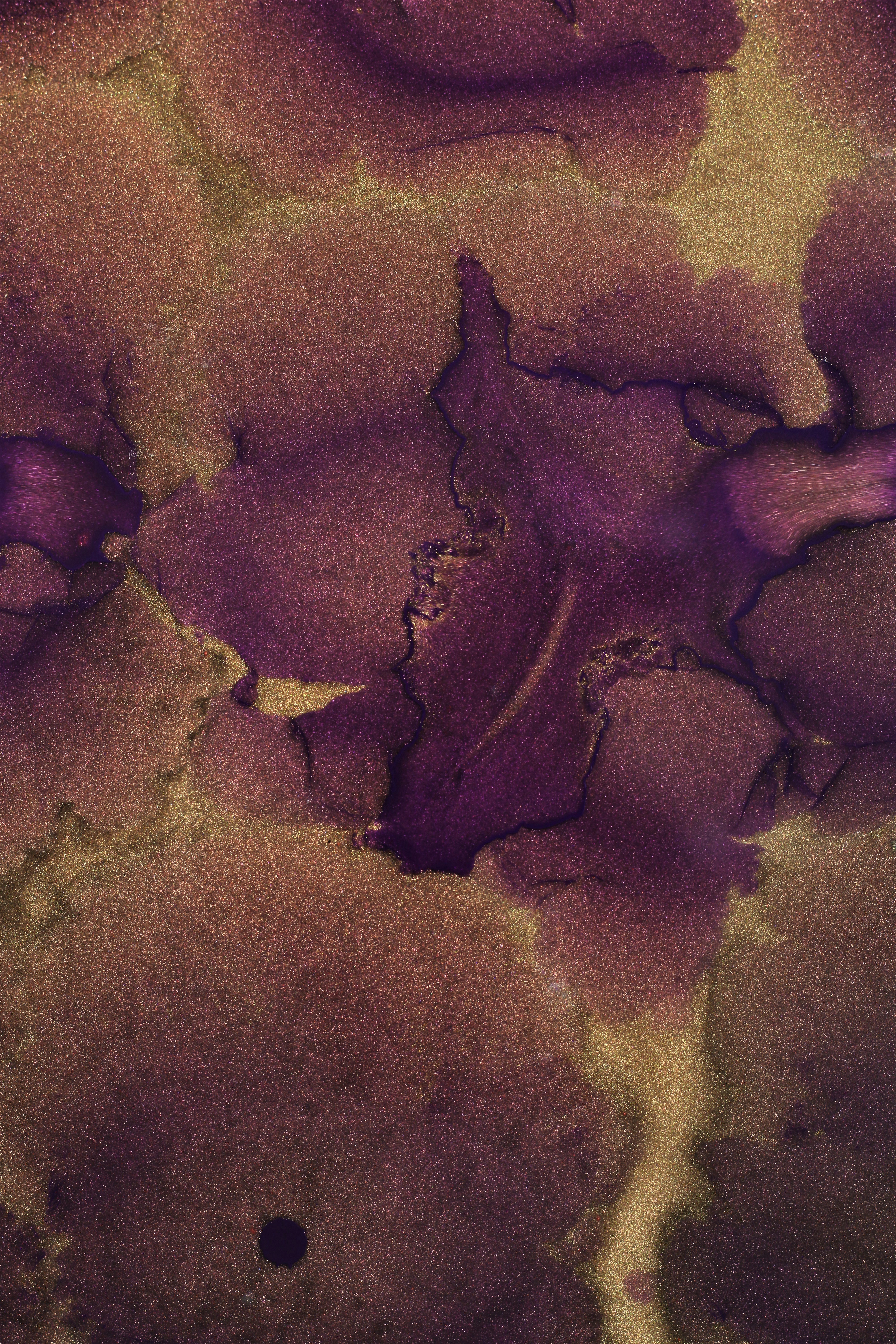 Photo by susan_wilkinson