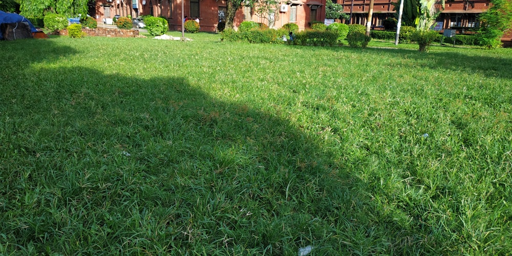 a grassy area with buildings in the background