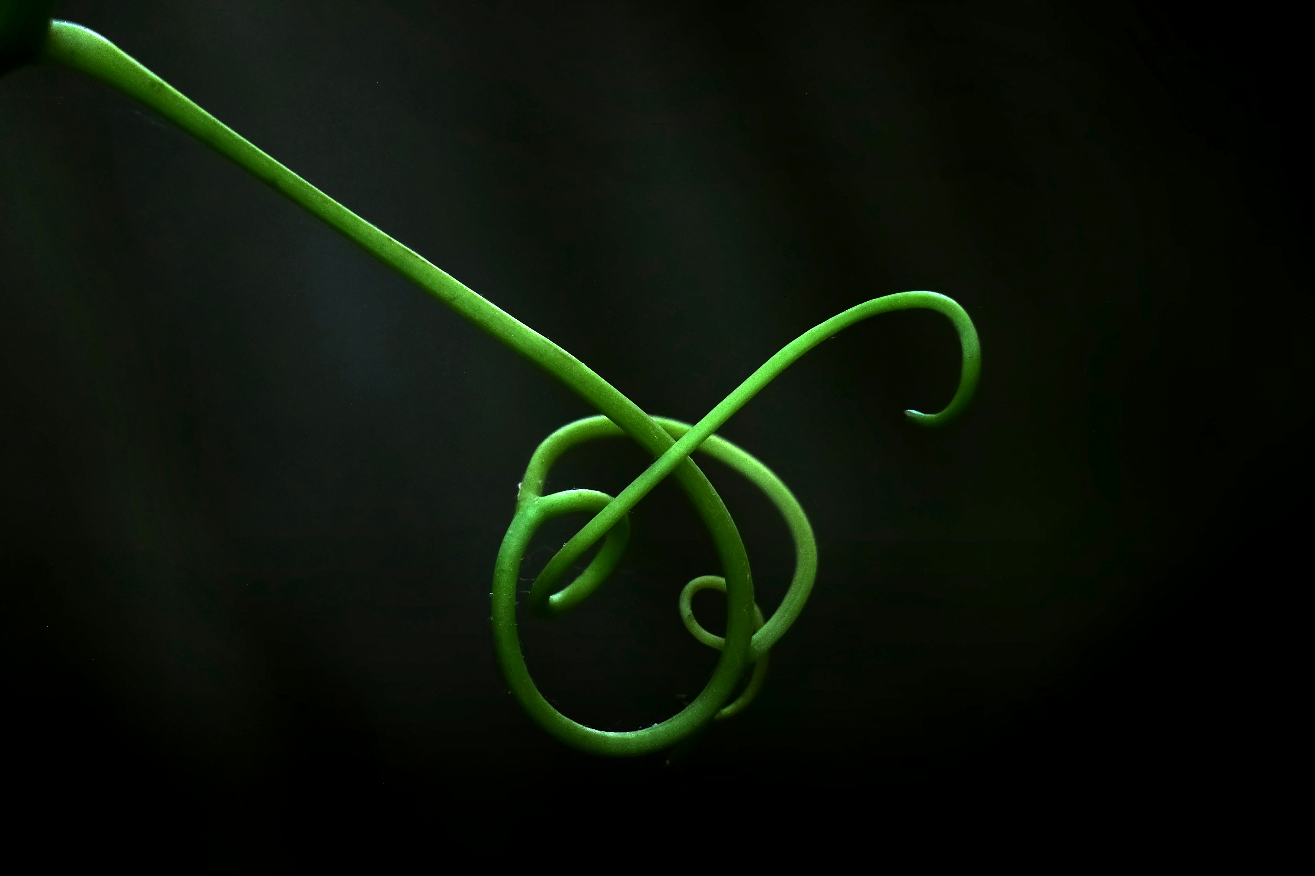 Twists and Turns