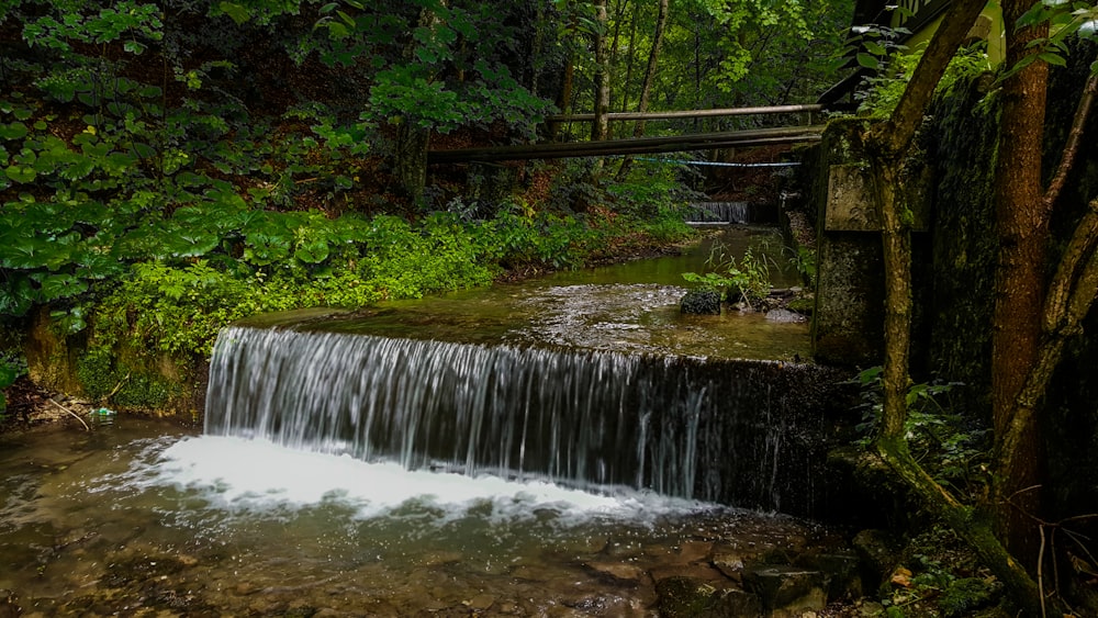 a waterfall in a forest