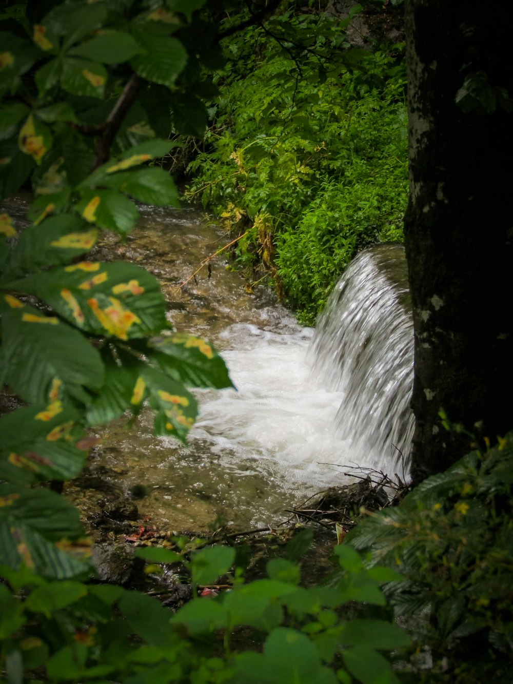 a small waterfall in a forest