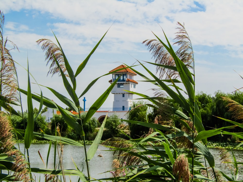 a white building behind palm trees