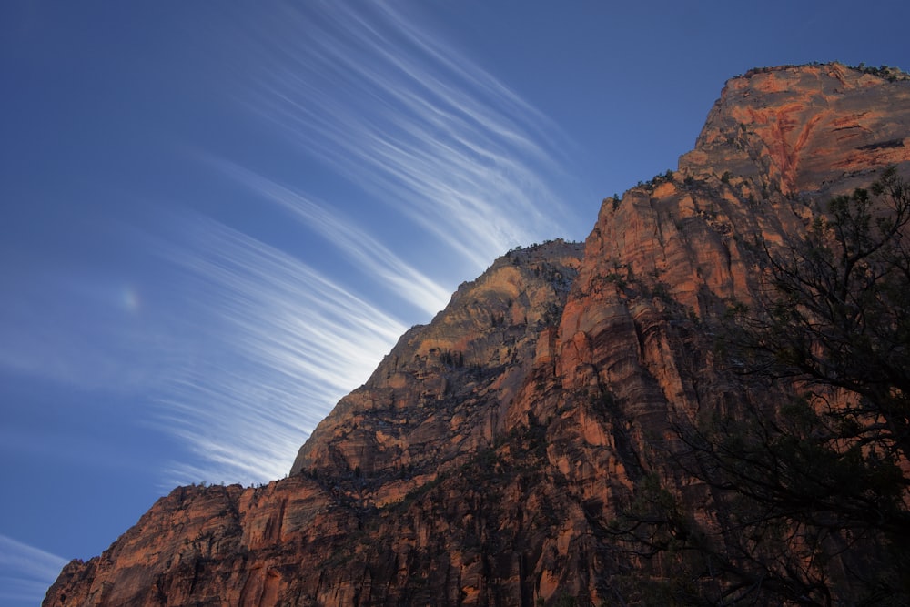 a rocky mountain with a tree