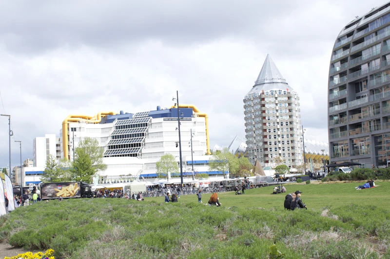Best Free Things to Do in Rotterdam That Cost Absolutely Nothing
