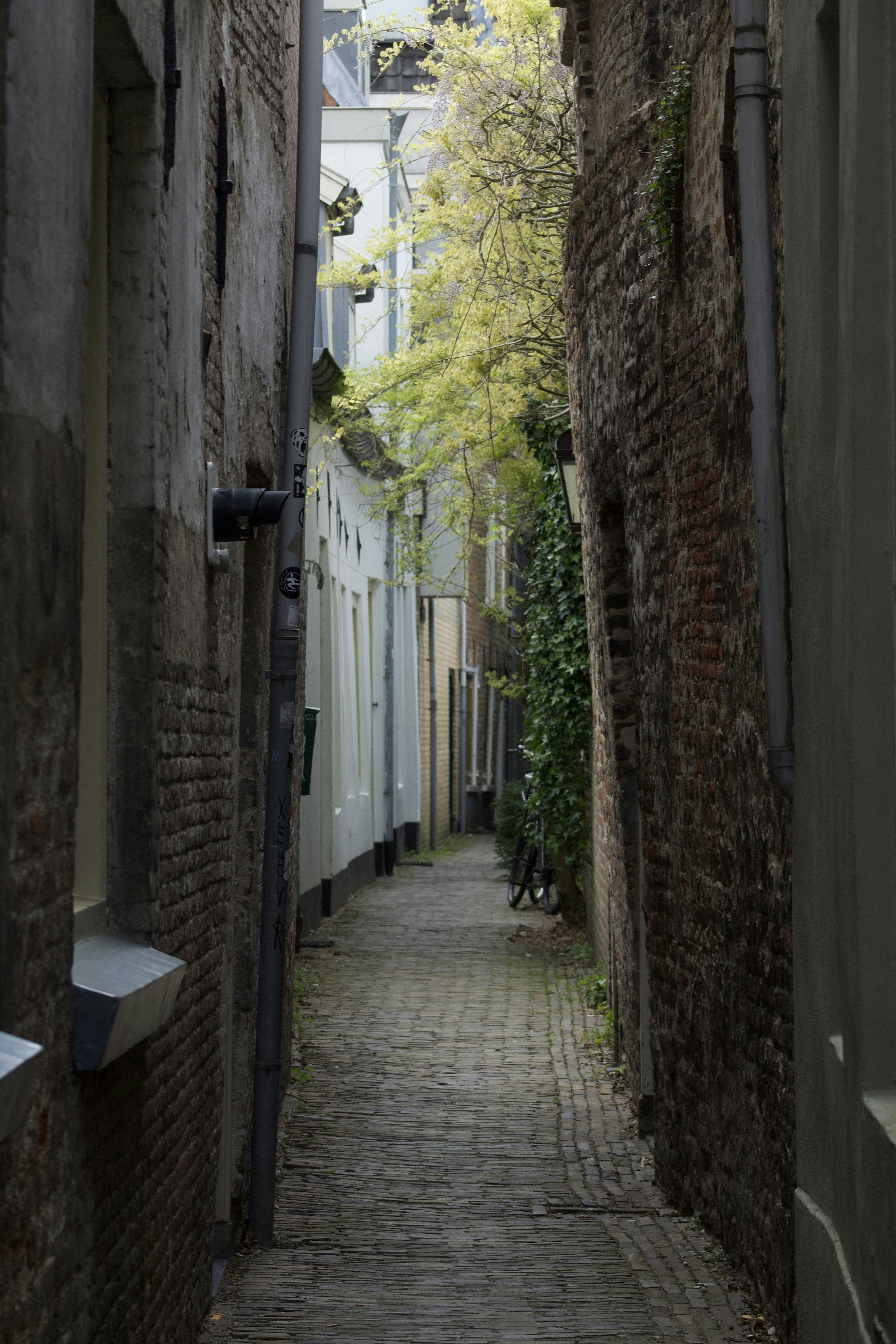 Photo by feliciafelicia