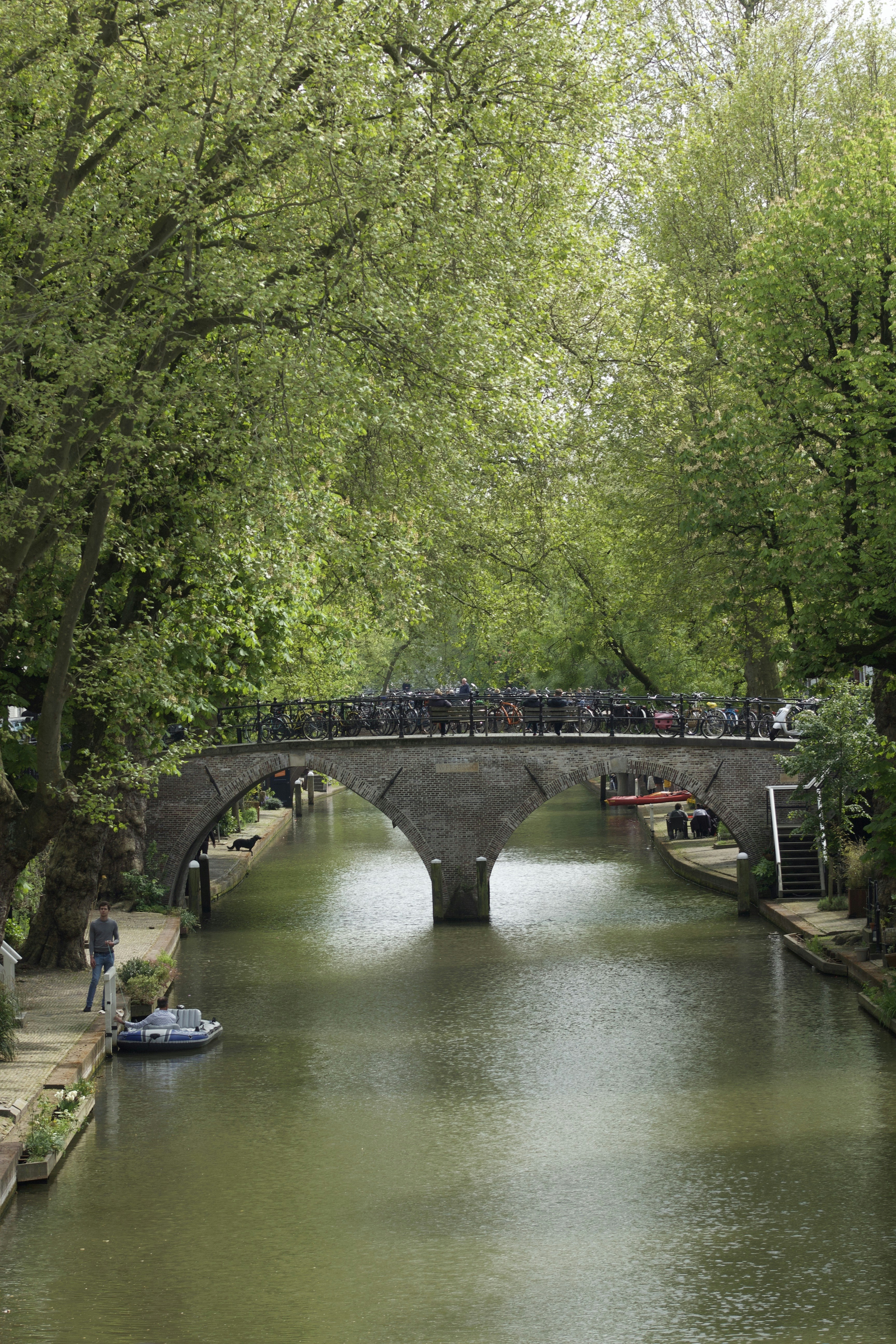 Photo by feliciafelicia