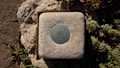 A concrete survey marker embedded in a larger stone, featuring a round metal disc with engraved text from the U.S. Coast and Geodetic Survey. The marker is surrounded by soil and foliage, with sunlight casting shadows.
