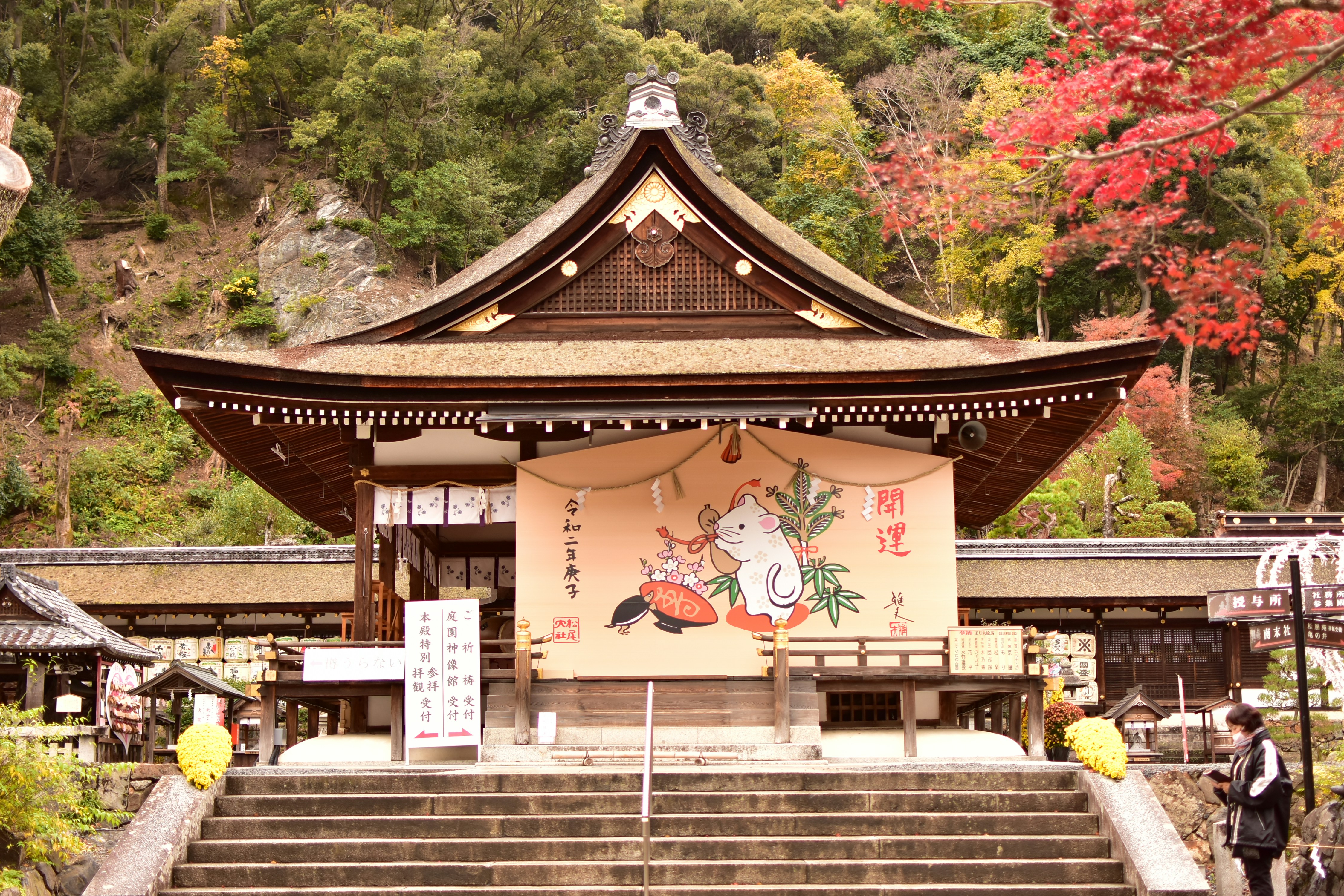 Photo by leoliang1230