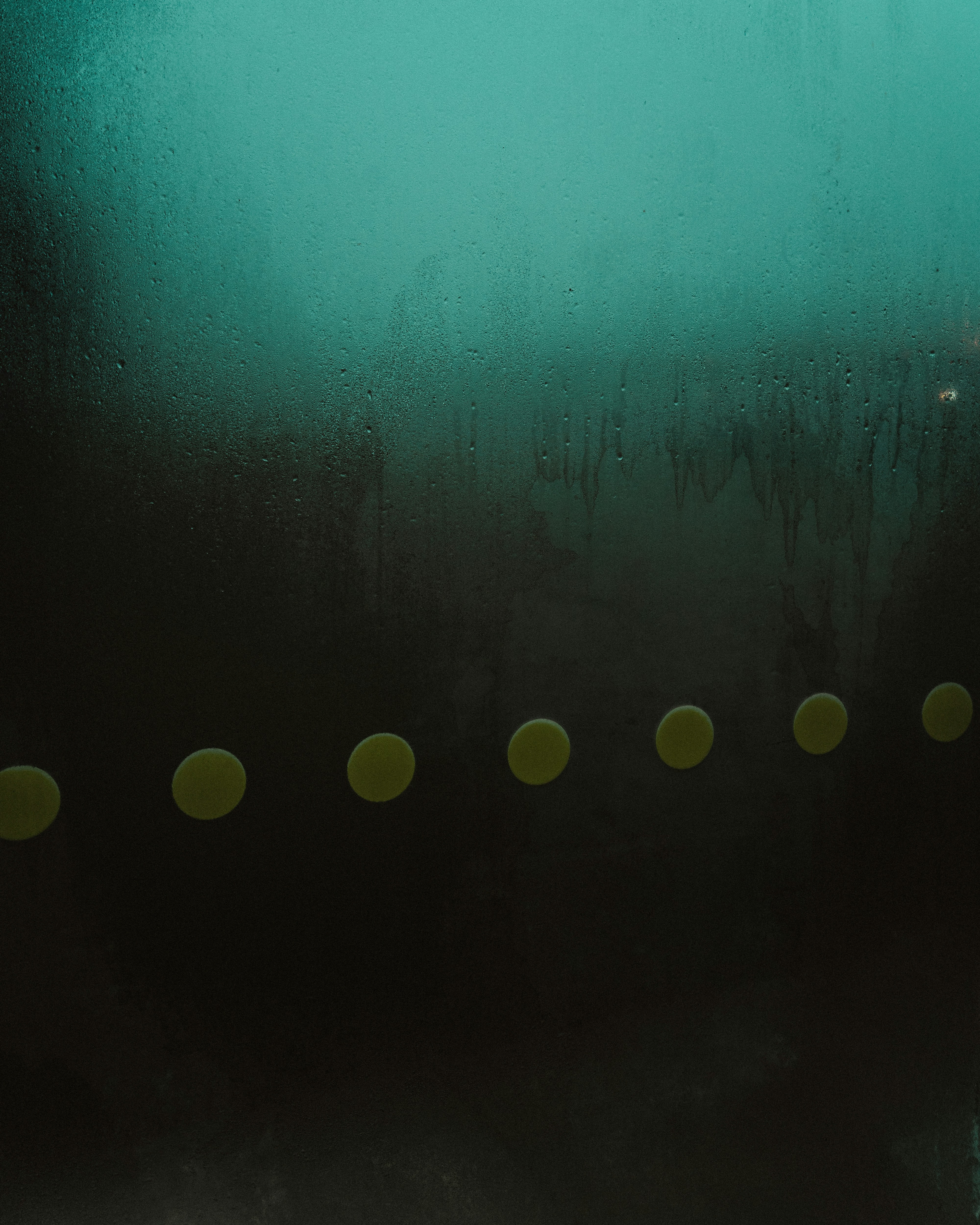 photo-1656015168071-3e8b7a5b17a7?ixid=M3wxMjA3fDB8MXxzZWFyY2h8MTh8fHBva2VydHViZXxlbnwwfHx8fDE3NDgzNDY3Nzl8MA\u0026ixlib=rb-4.1.0