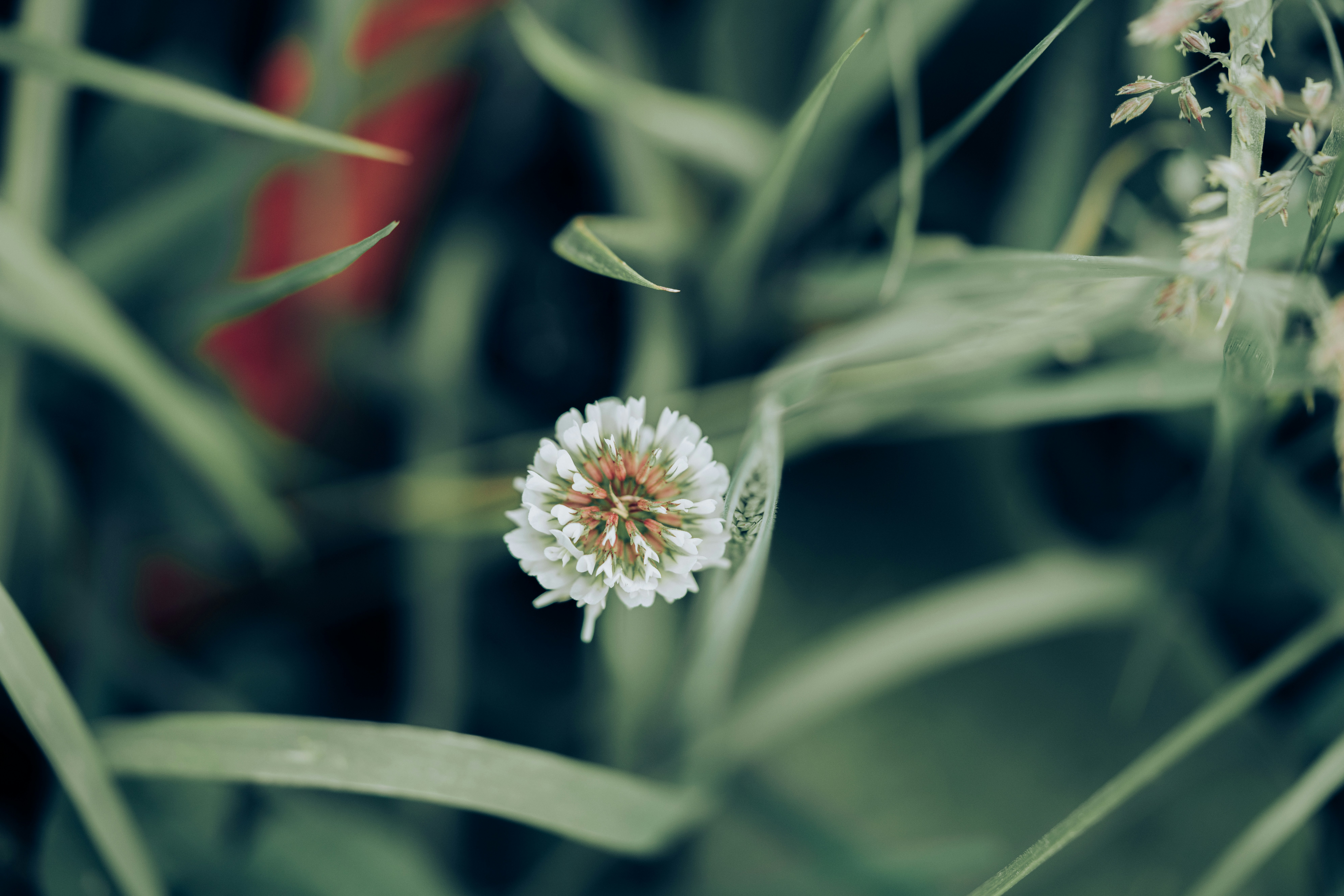 Photo by neringanorman