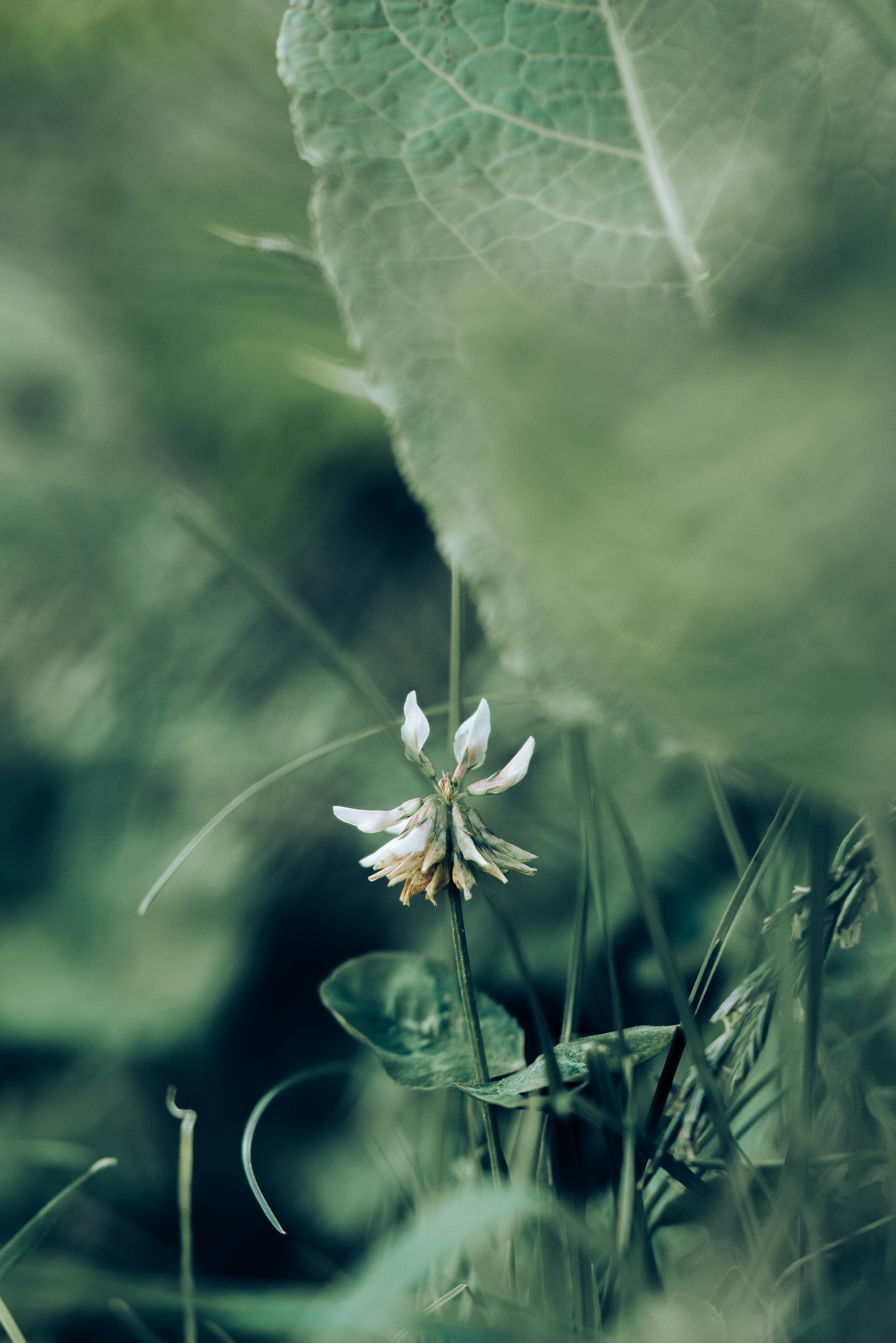 Photo by neringanorman