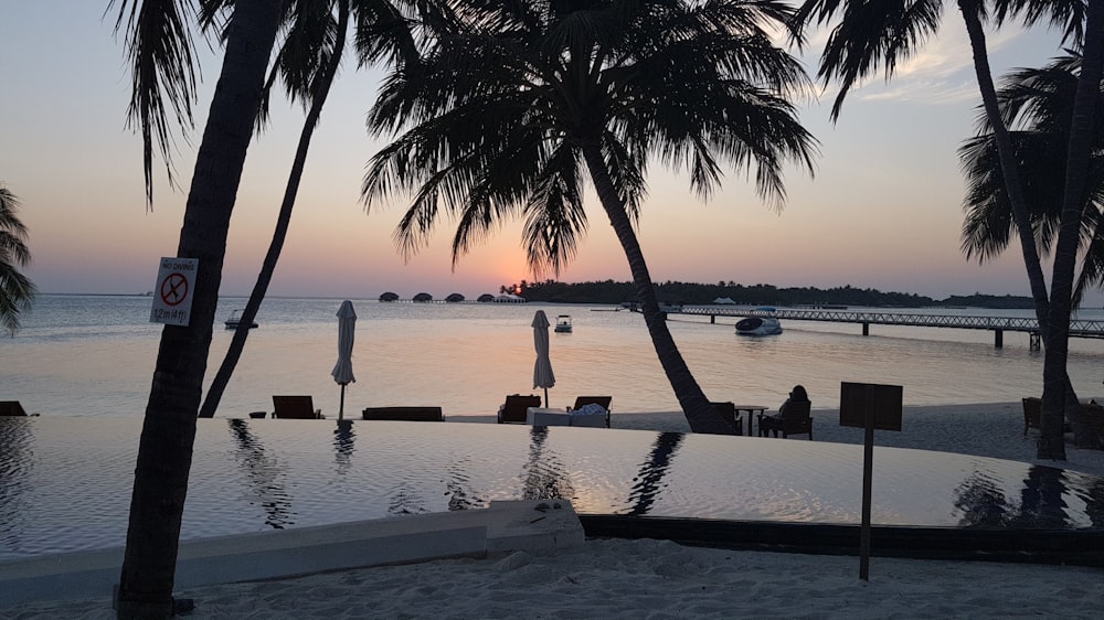 a beach with palm trees and a body of water